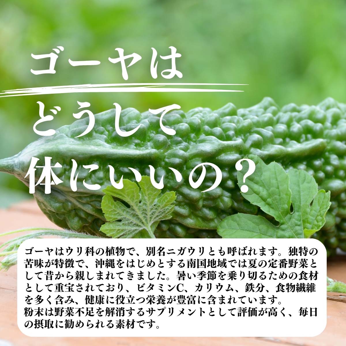 ゴーヤはどうして体にいいの？