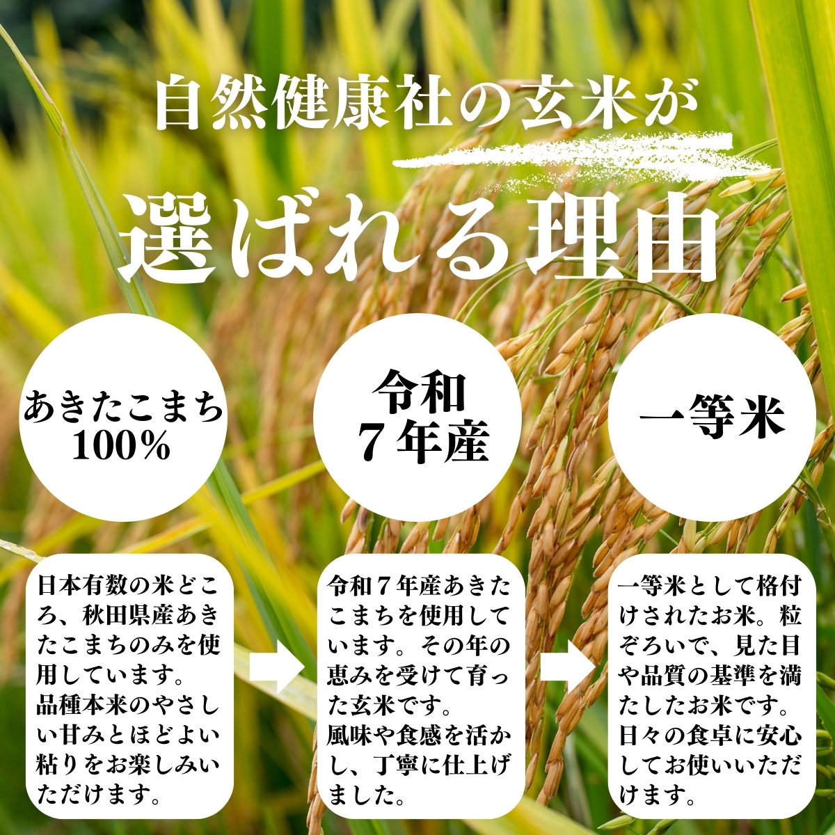 玄米が選ばれる理由