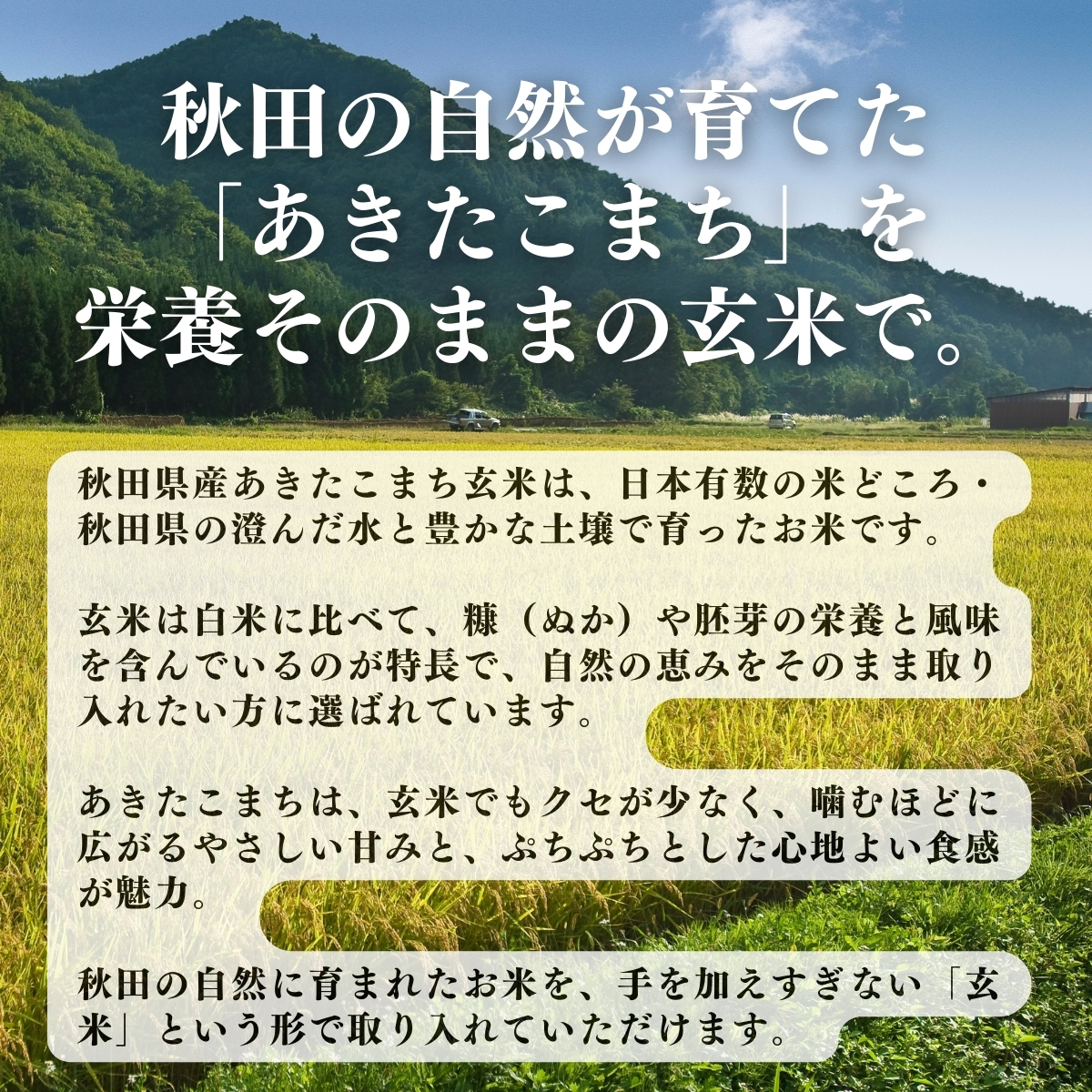 あきたこまちを栄養そのままの玄米で