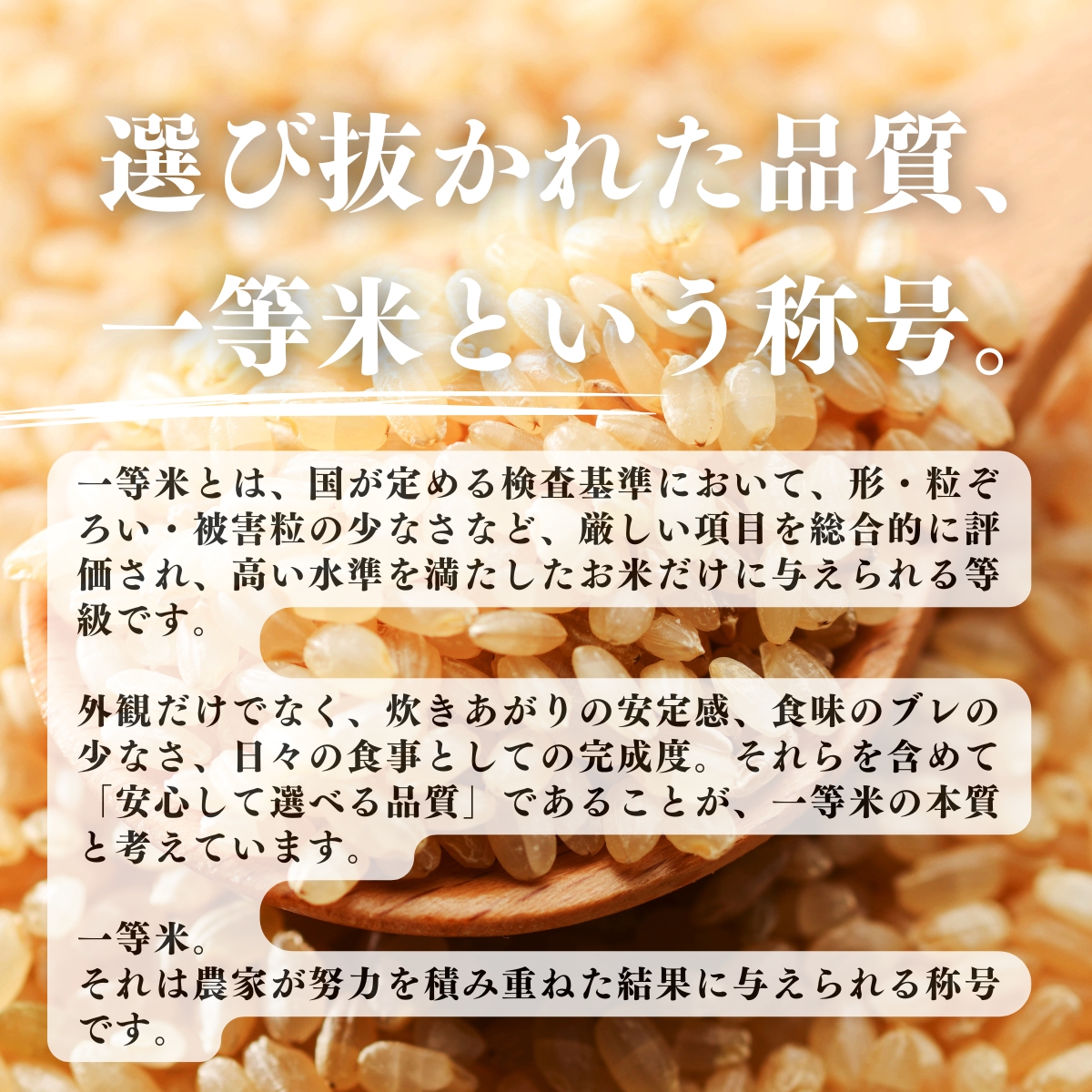 選び抜かれた品質、一等米という称号