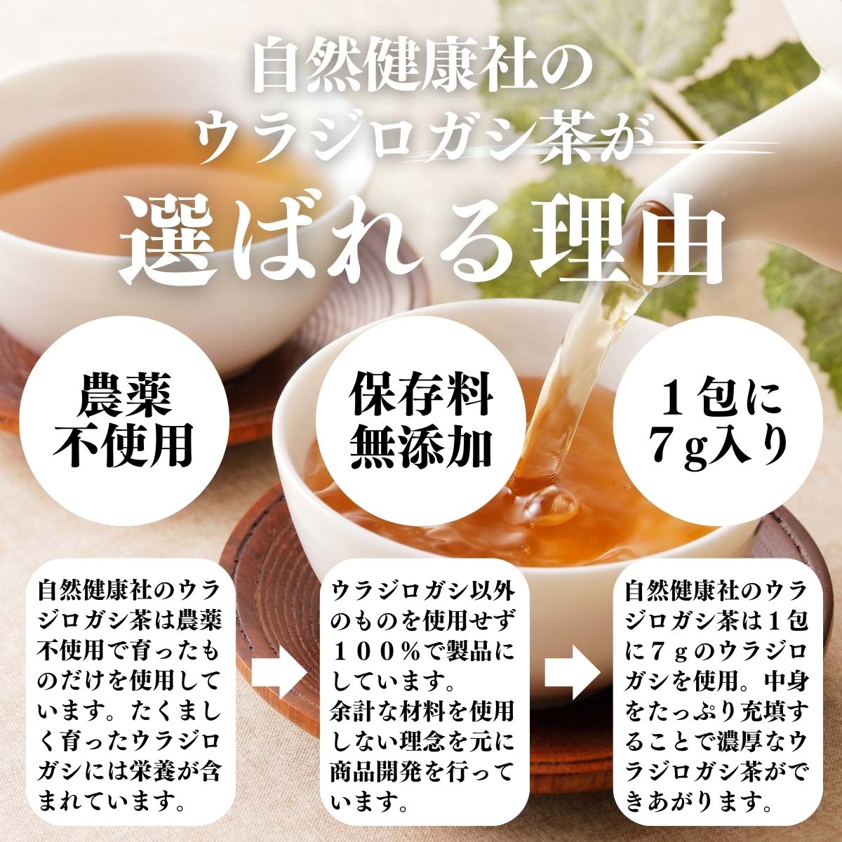 ウラジロガシ茶が選ばれる理由