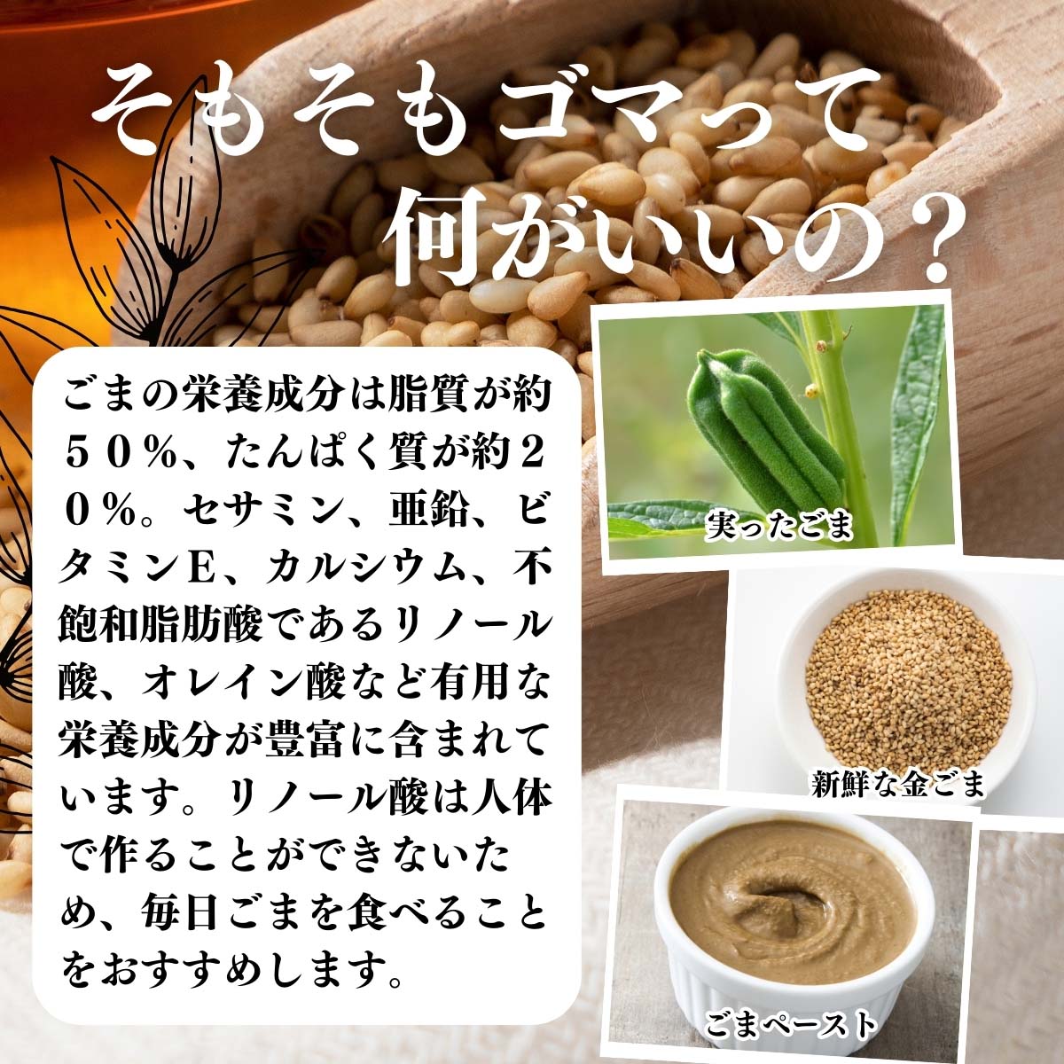 ゴマって何がいいの？