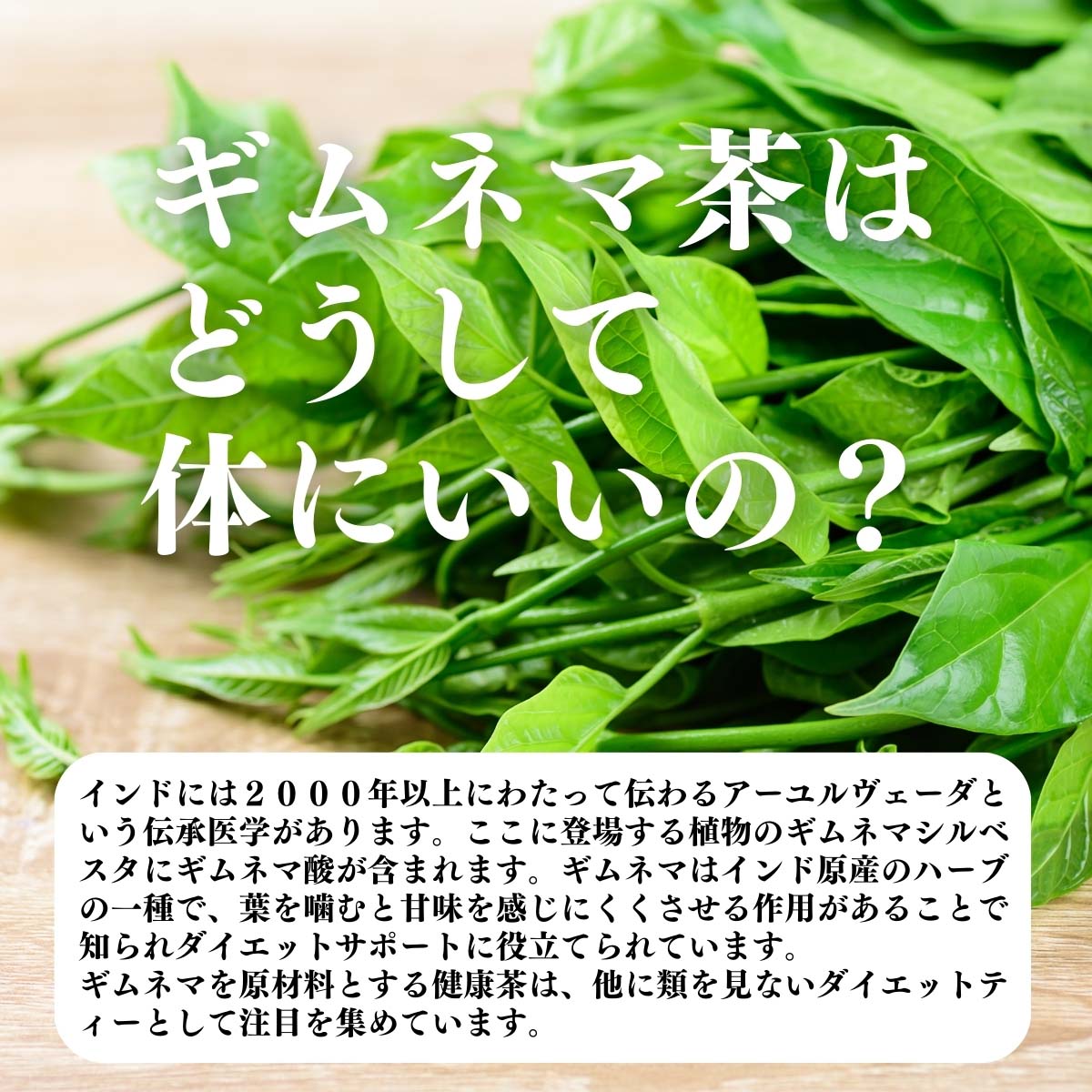 ギムネマ茶はどうして体にいいの？
