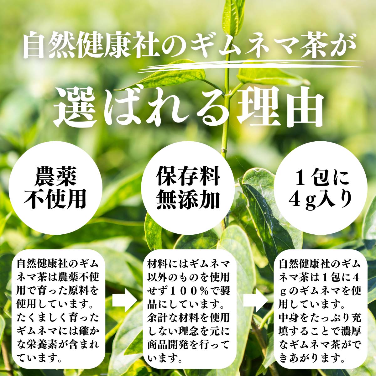 ギムネマ茶が選ばれる理由