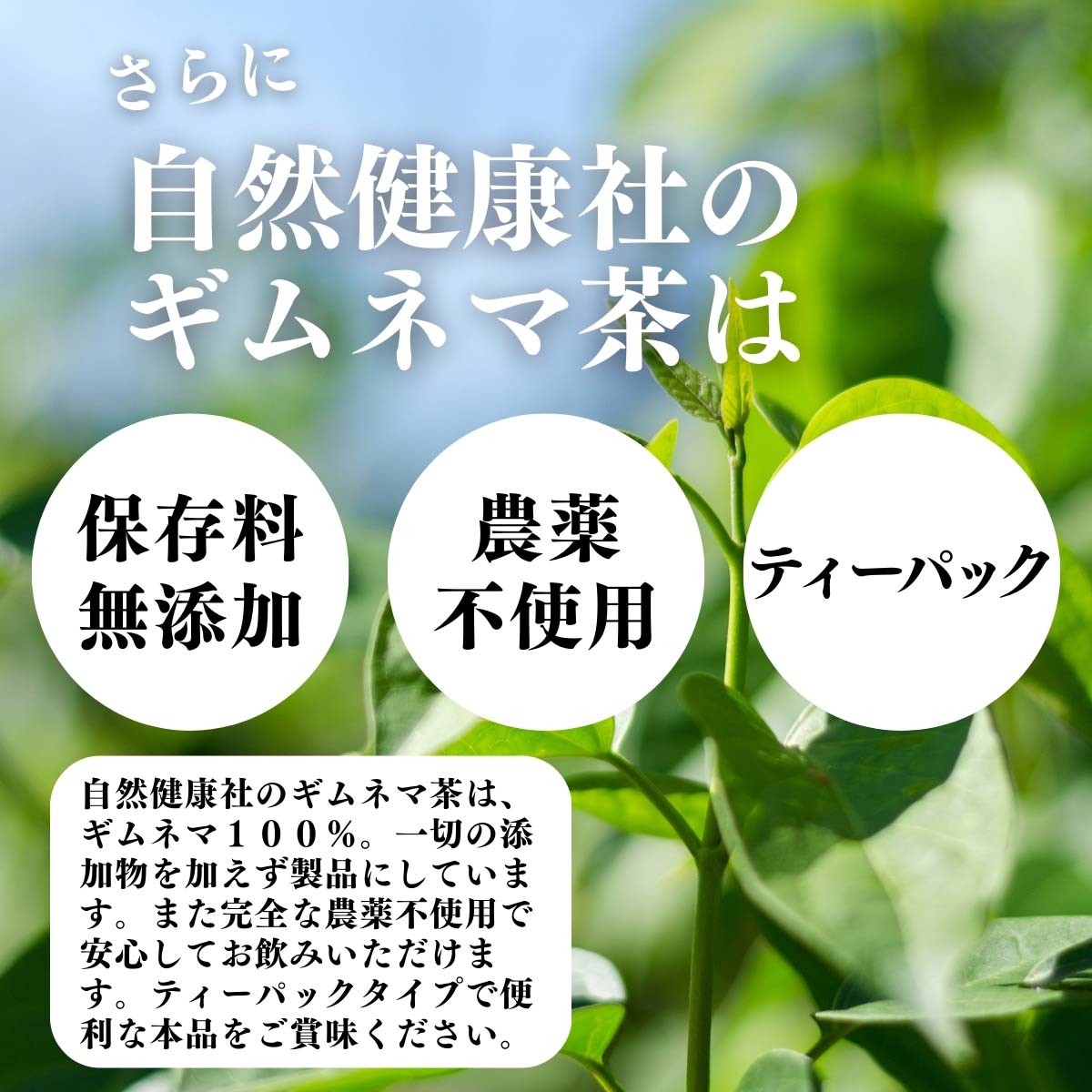 保存料無添加、農薬不使用、ティーパック
