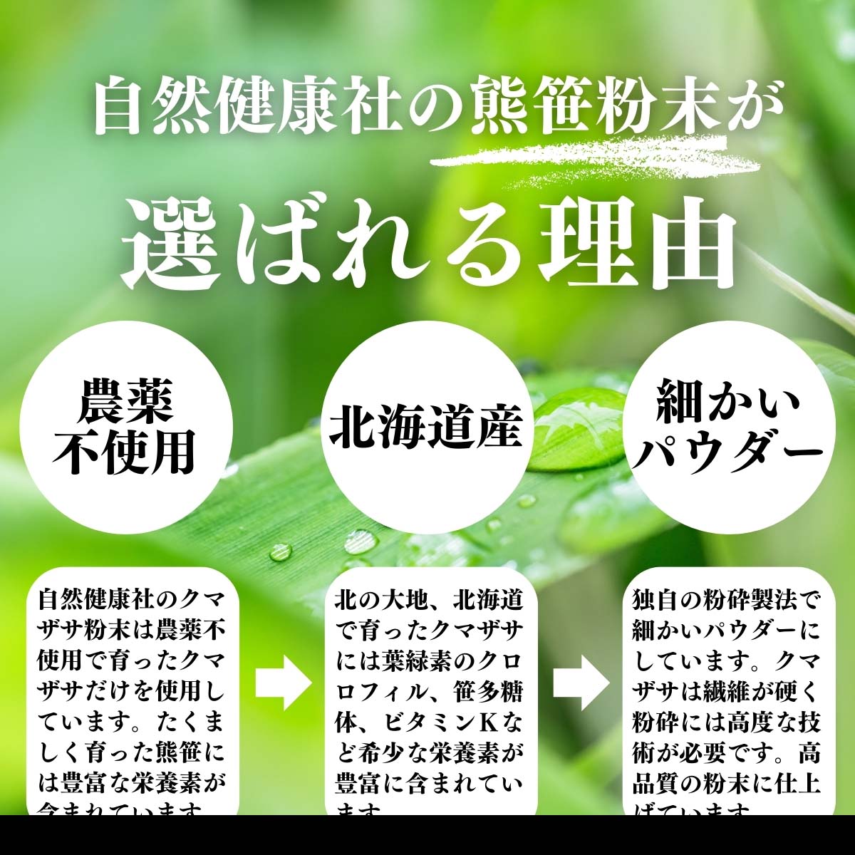 熊笹粉末が選ばれる理由