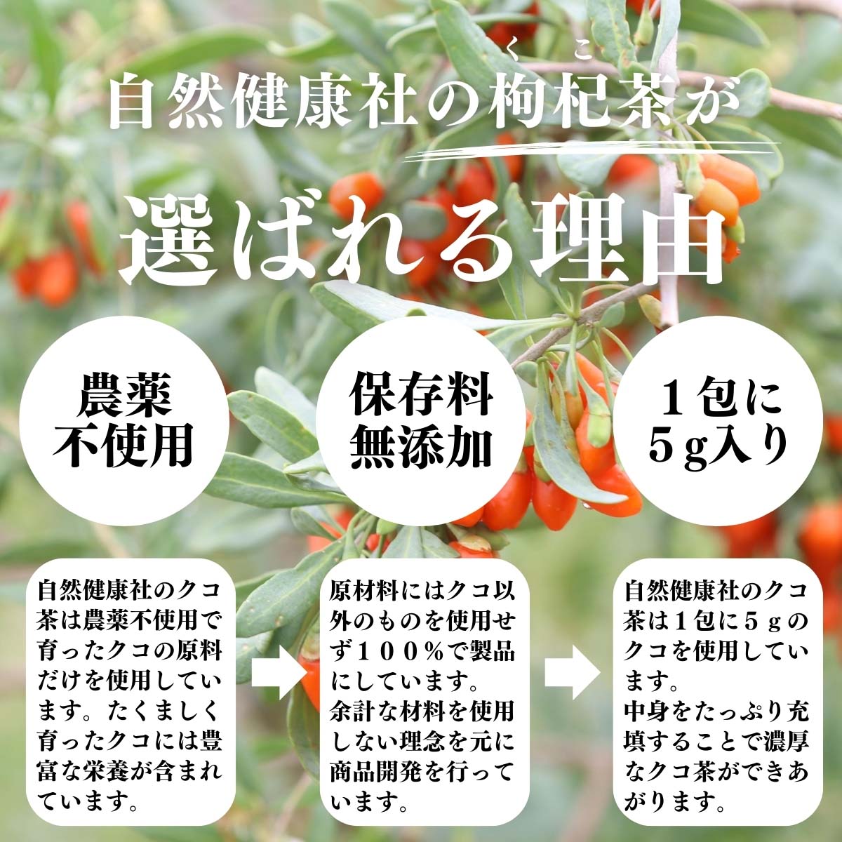 枸杞茶が選ばれる理由