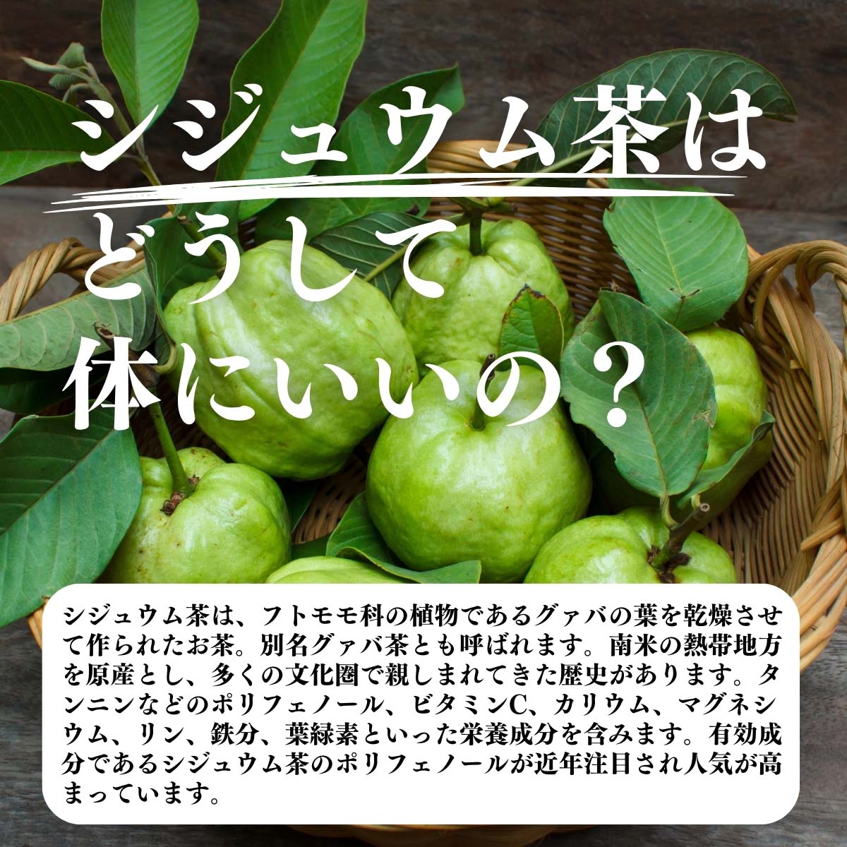 シジュウム茶はどうして体にいいの？