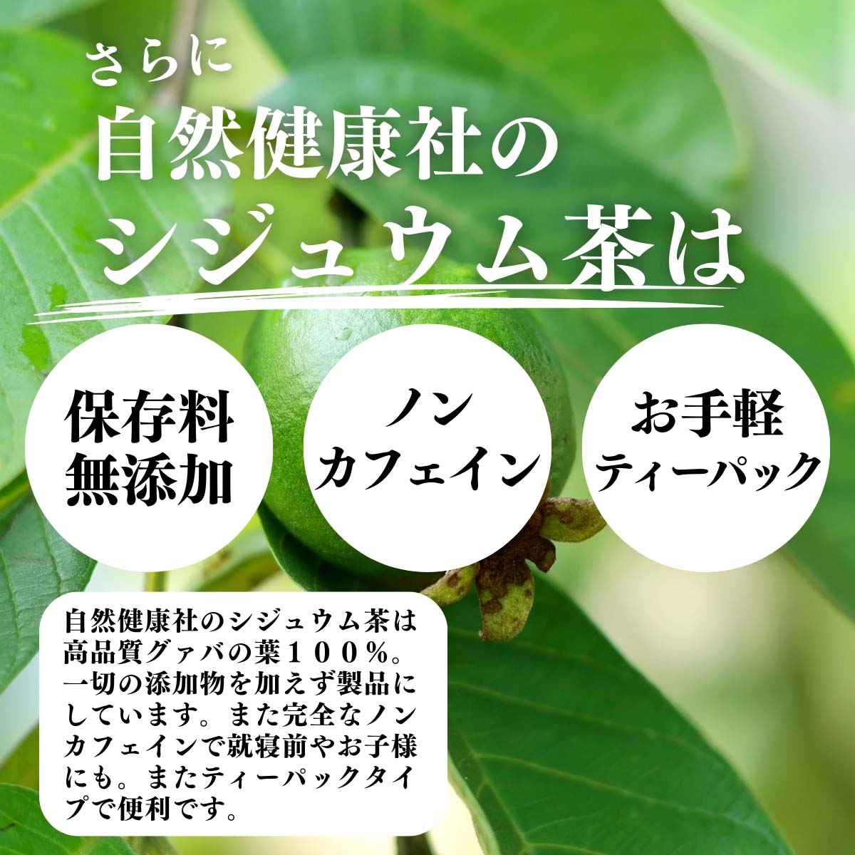 保存料無添加、ノンカフェイン、お手軽ティーパック