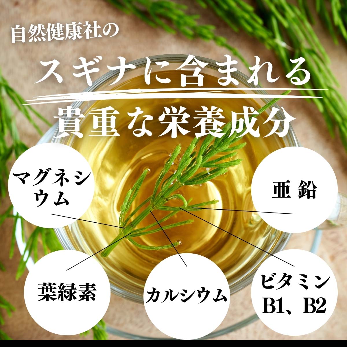 スギナに含まれる貴重な栄養成分