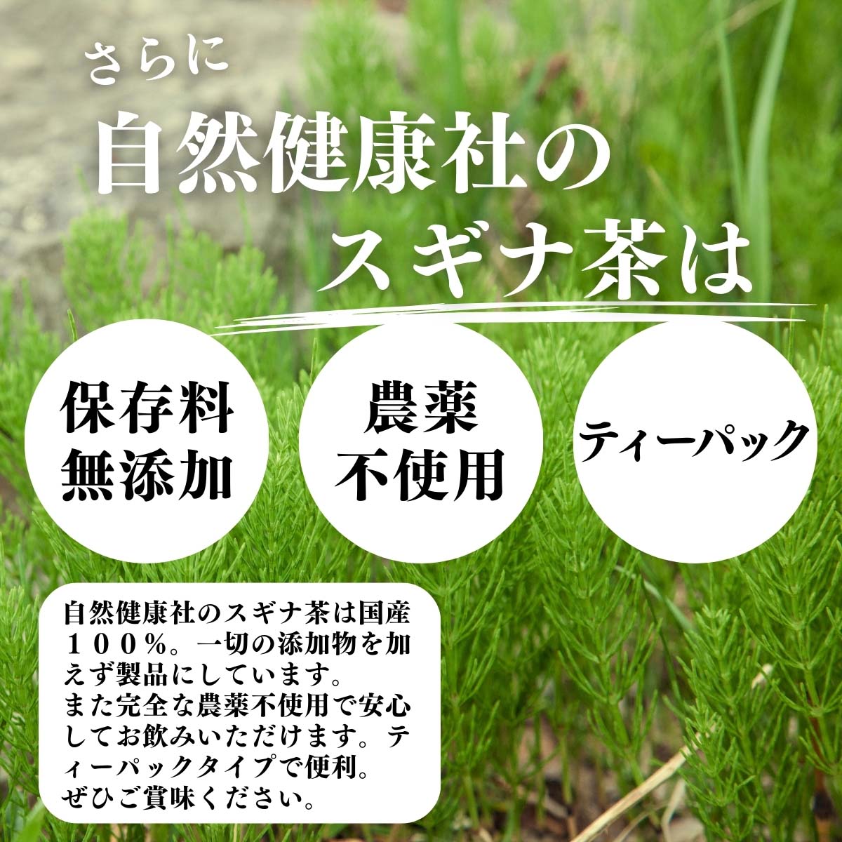 保存料無添加、農薬不使用、ティーパック
