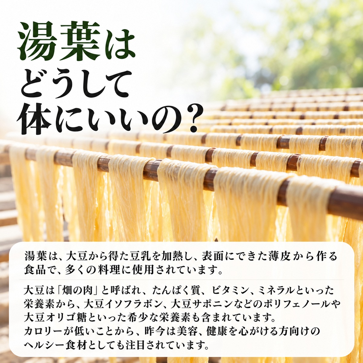 湯葉はどうして体にいいの？