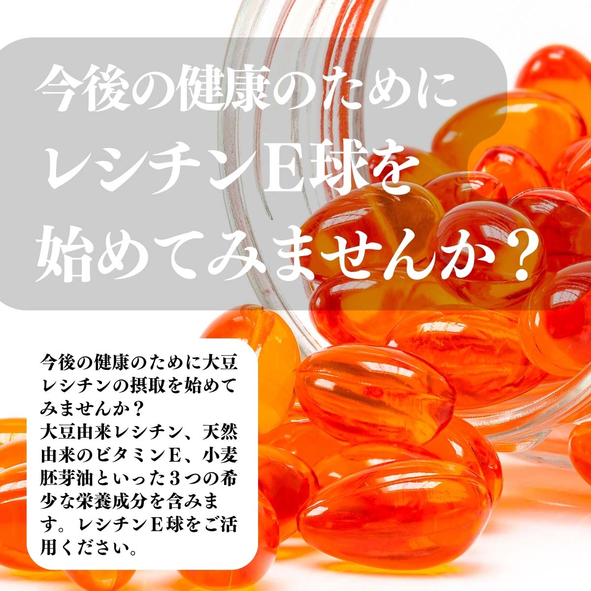 レシチンE球を始めてみませんか？