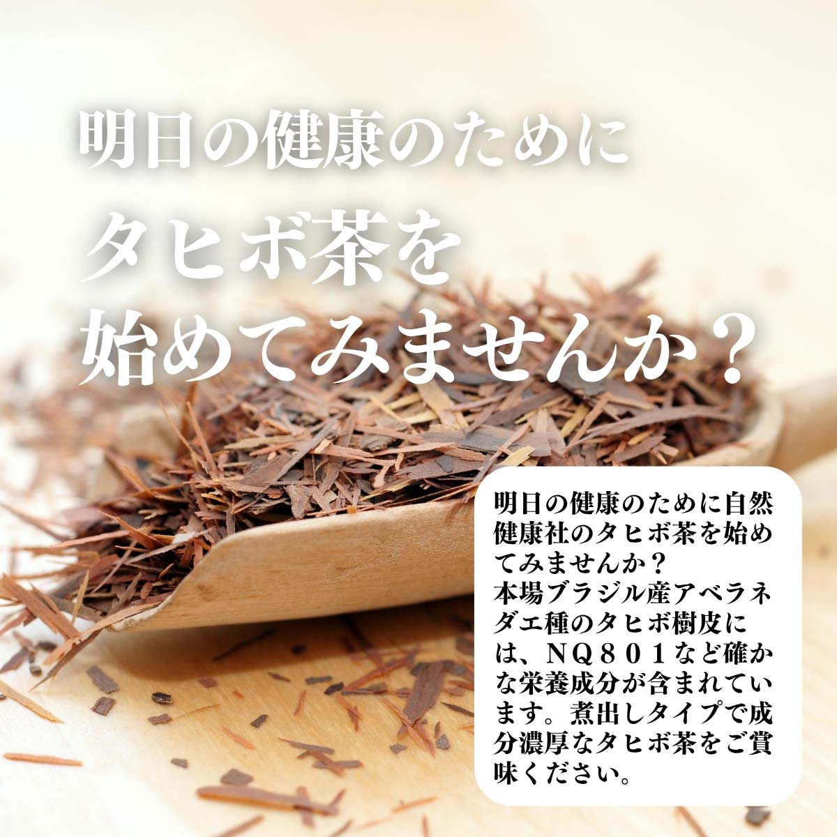 タヒボ茶をはじめてみませんか？