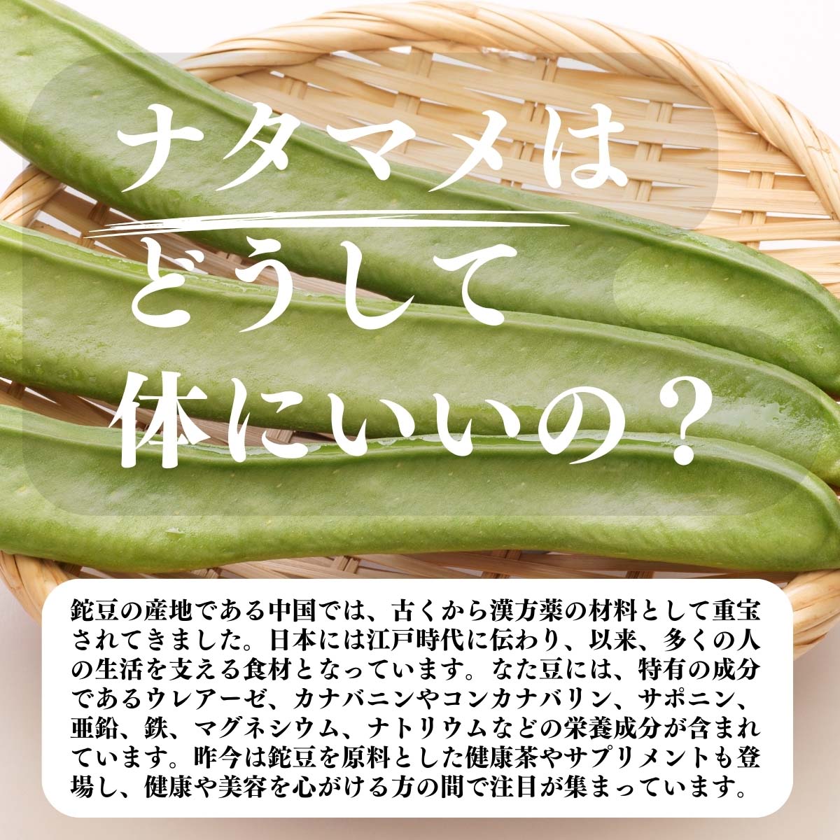 ナタマメはどうして体にいいの？