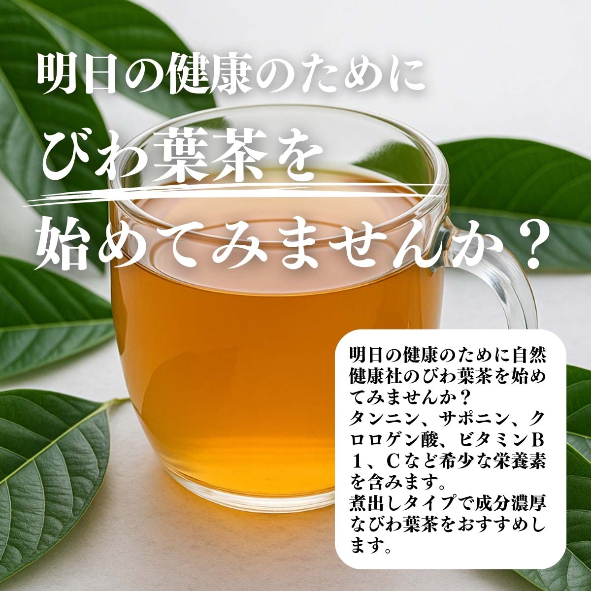 びわ葉茶をはじめてみませんか？