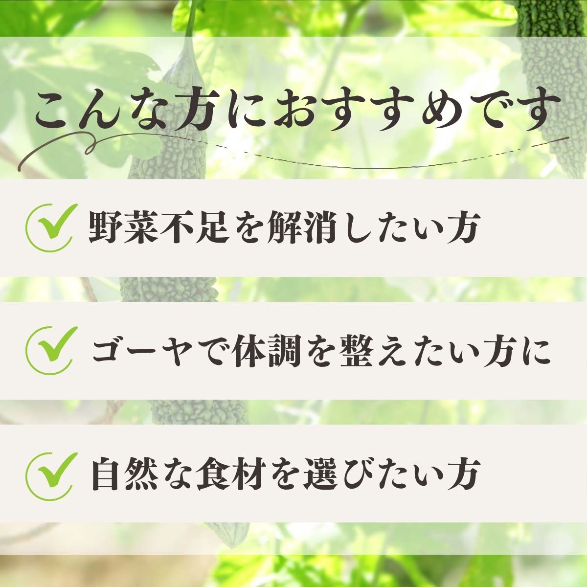 こんな方におすすめ