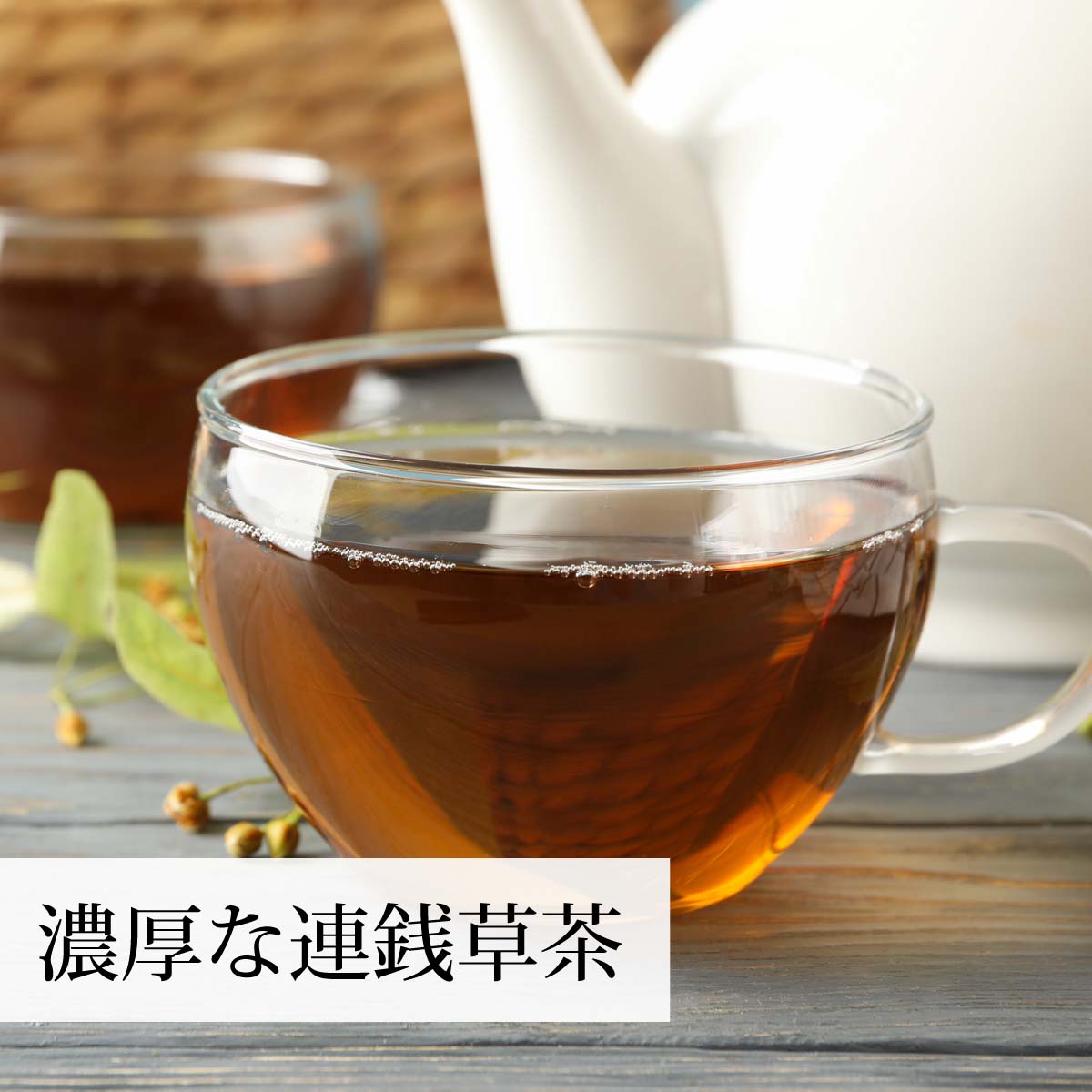 成分濃厚な連銭草茶