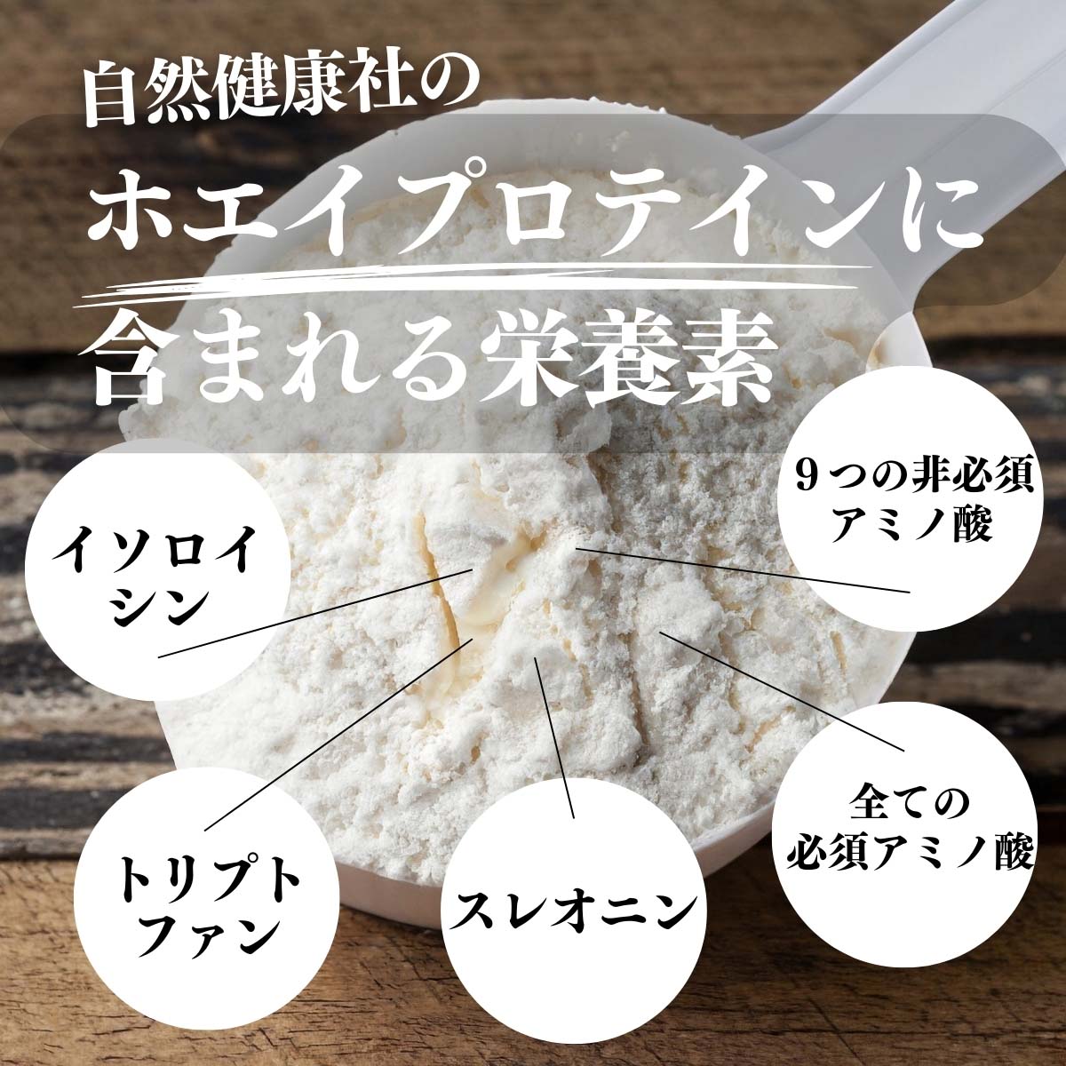 ホエイプロテインに含まれる栄養成分