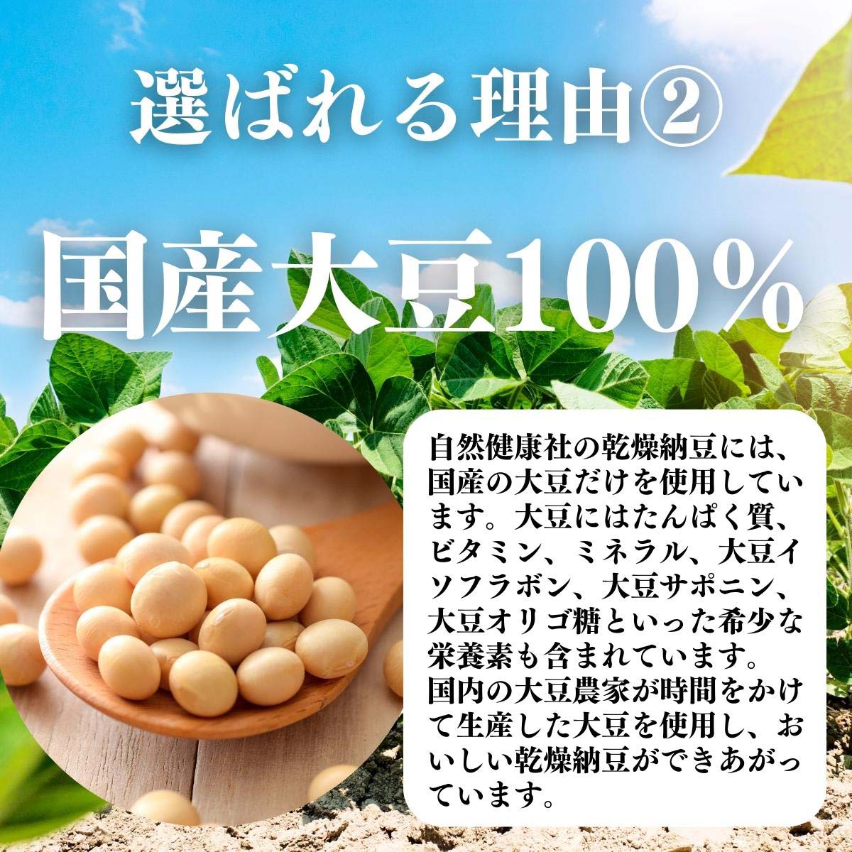 国産大豆