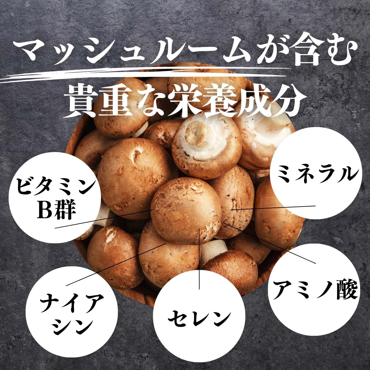 マッシュルームが含む貴重な栄養成分