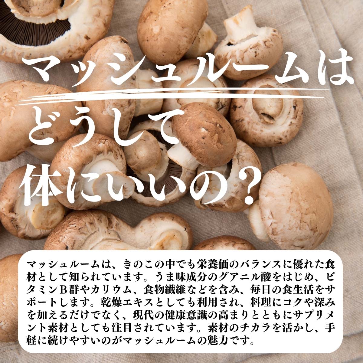 マッシュルームはどうして体にいいの？