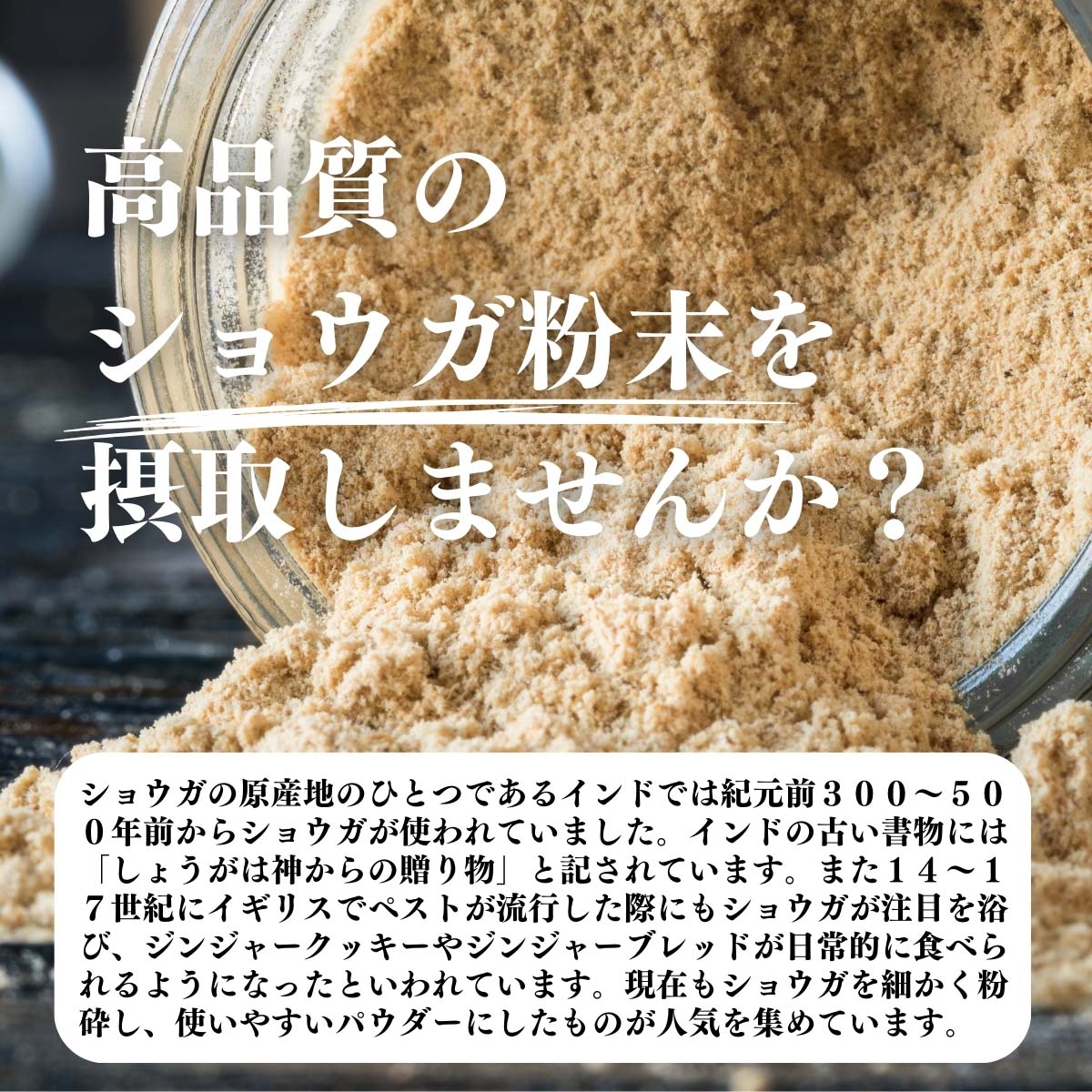 高品質のショウガ粉末を摂取しませんか？