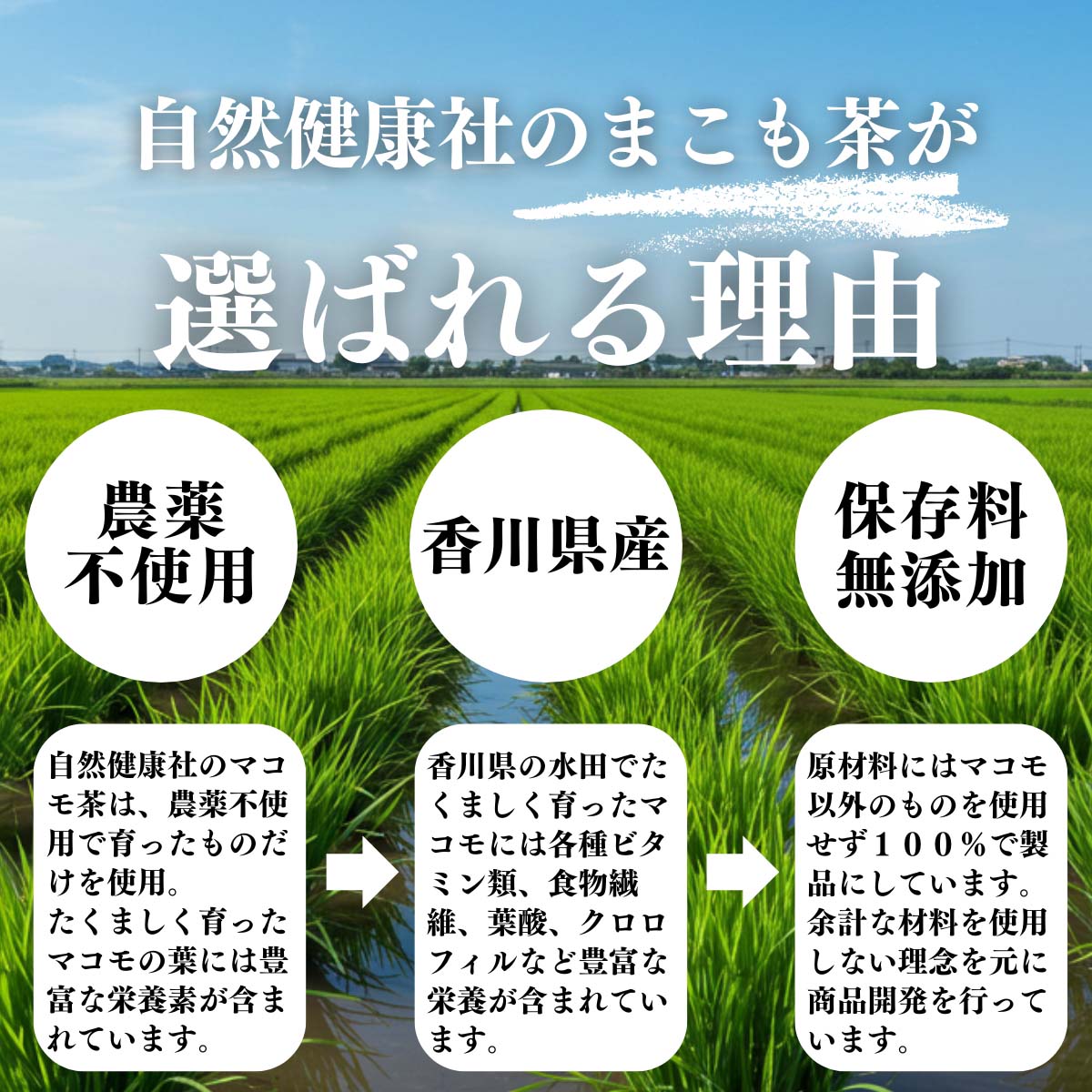 まこも茶が選ばれる理由