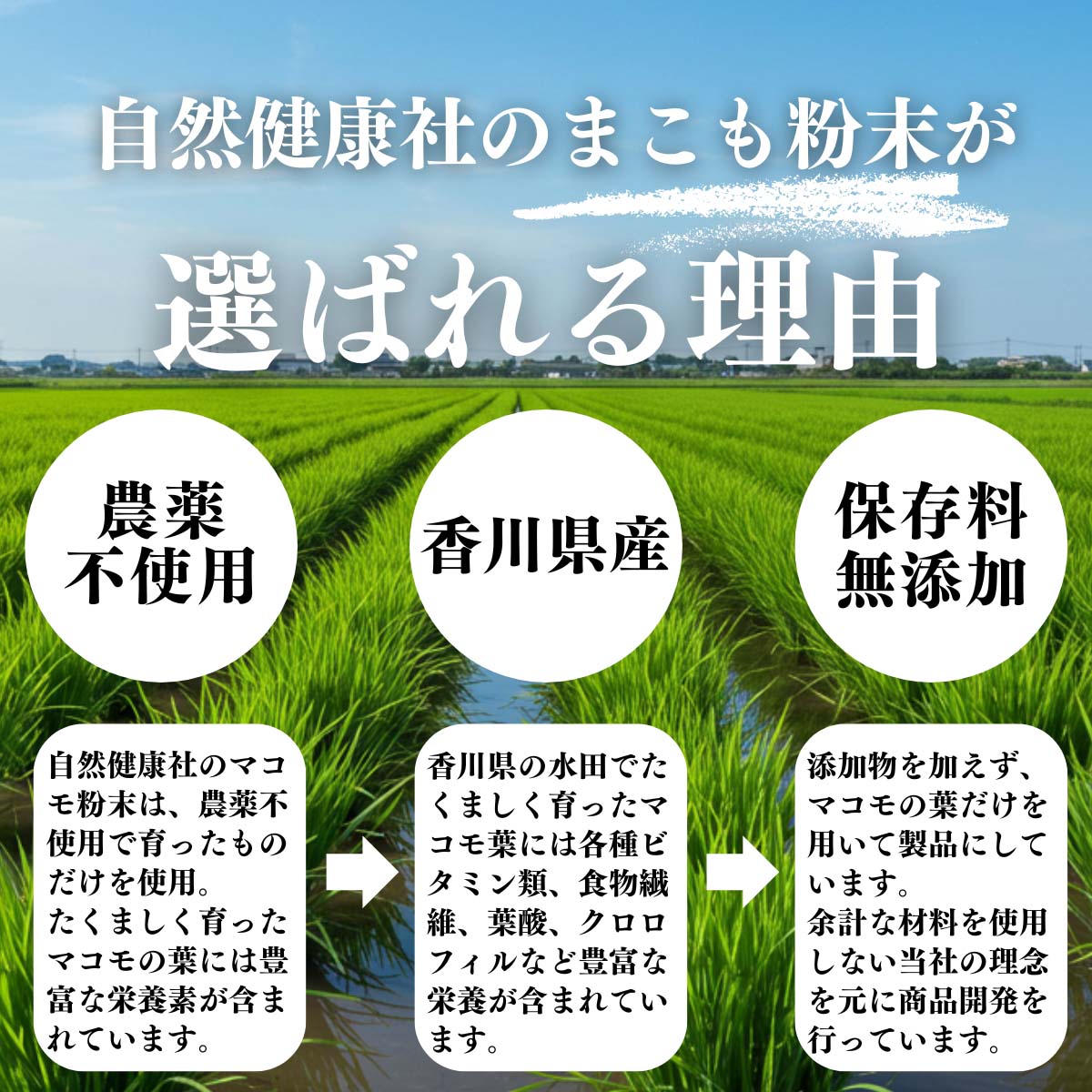 まこも粉末が選ばれる理由