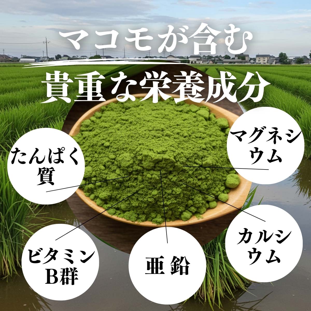 マコモが含む貴重な栄養成分