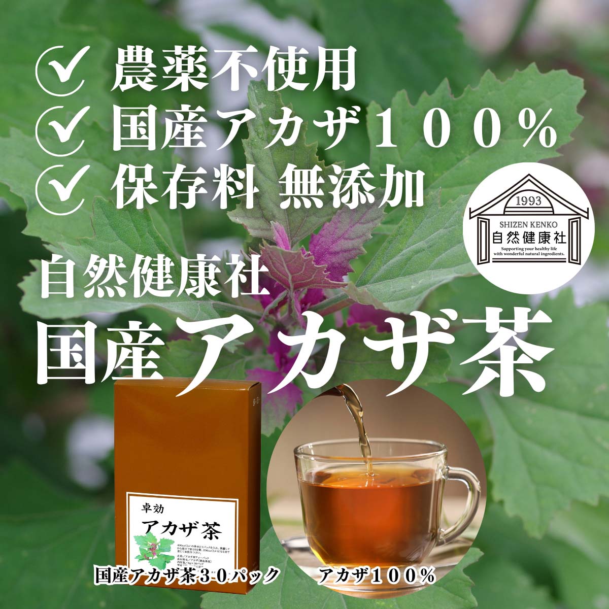 自然健康社のアカザ茶