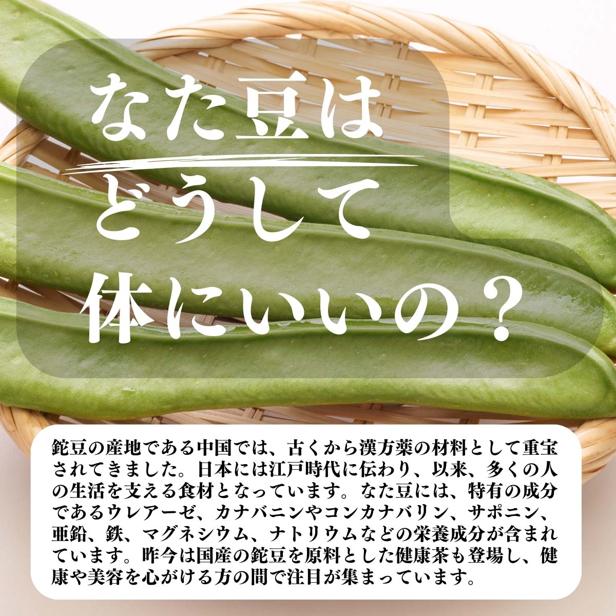 なた豆はどうして体にいいの？