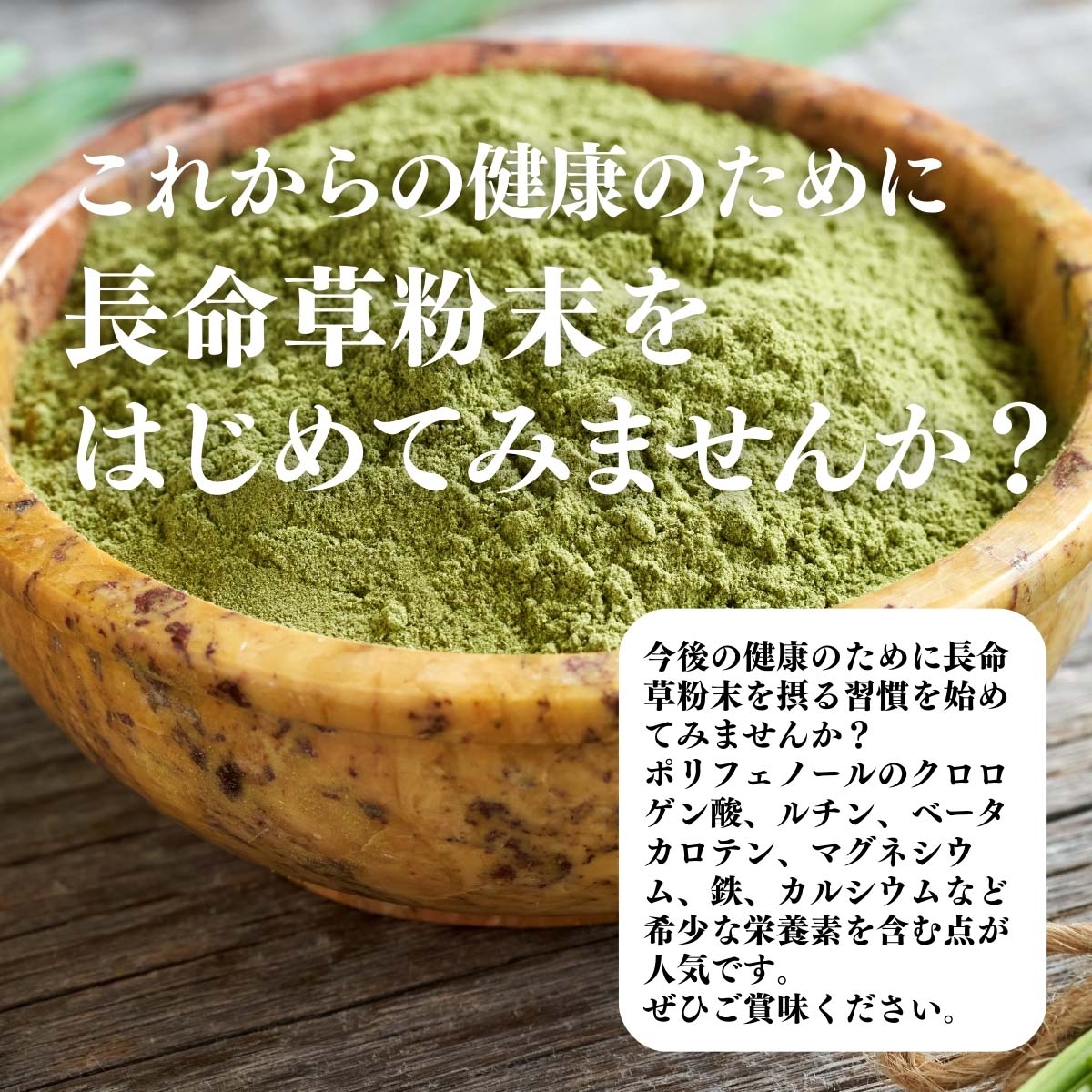 長命草粉末をはじめてみませんか？