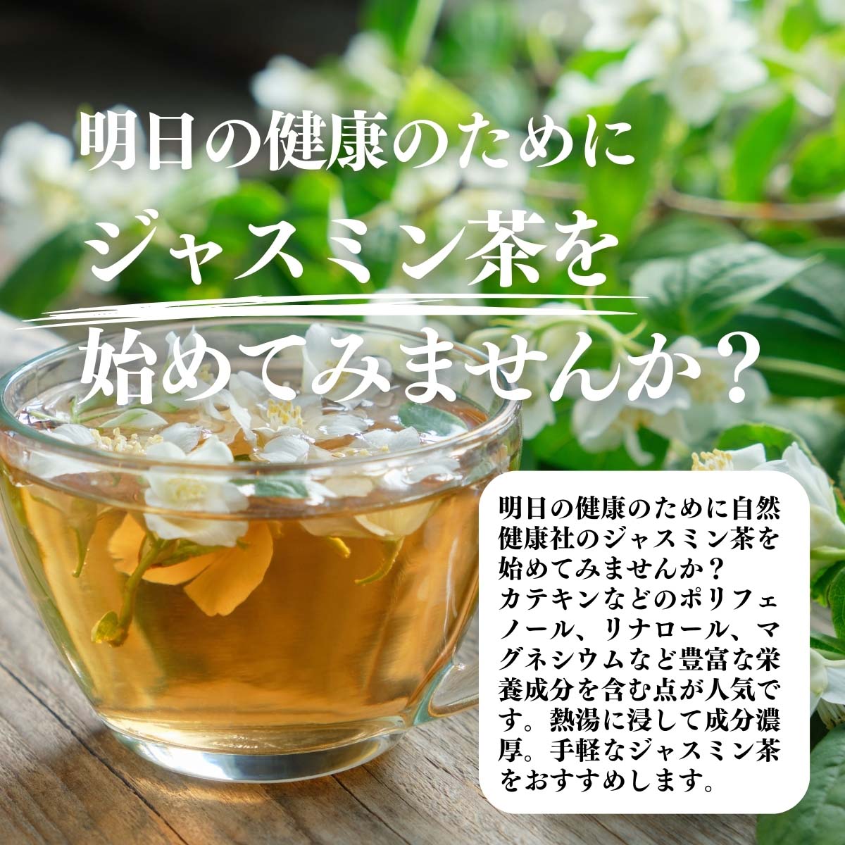 ジャスミン茶をはじめてみませんか？