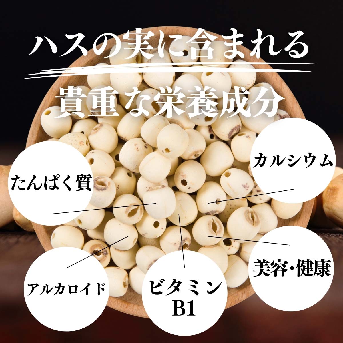 ハスの実に含まれる貴重な栄養成分