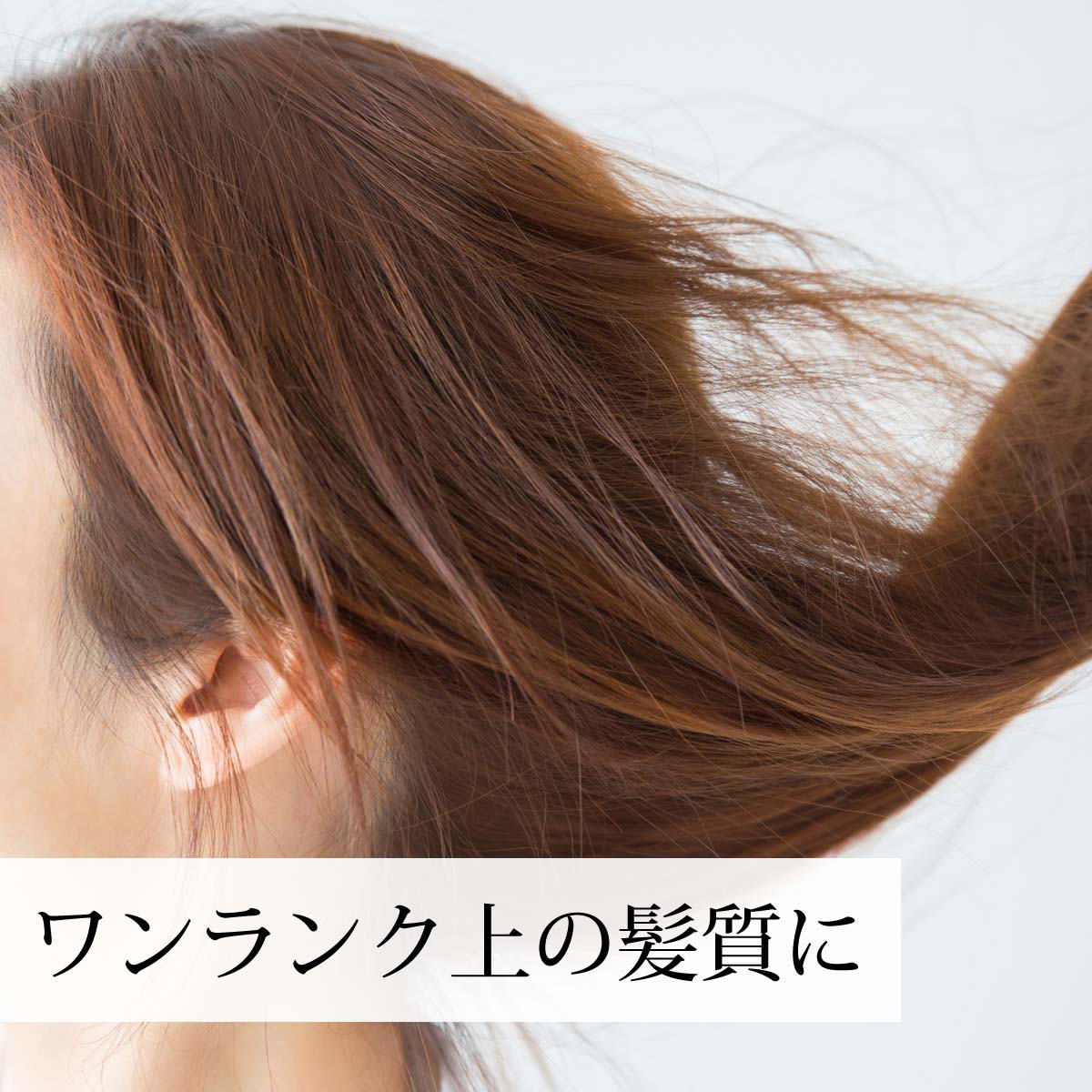 ワンランク上の髪質に