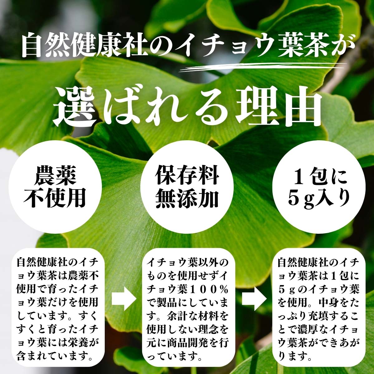 イチョウ葉茶が選ばれる理由