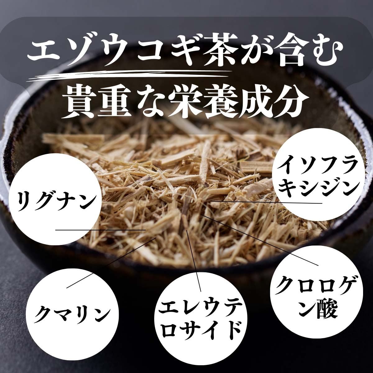 エゾウコギ茶が含む貴重な栄養成分