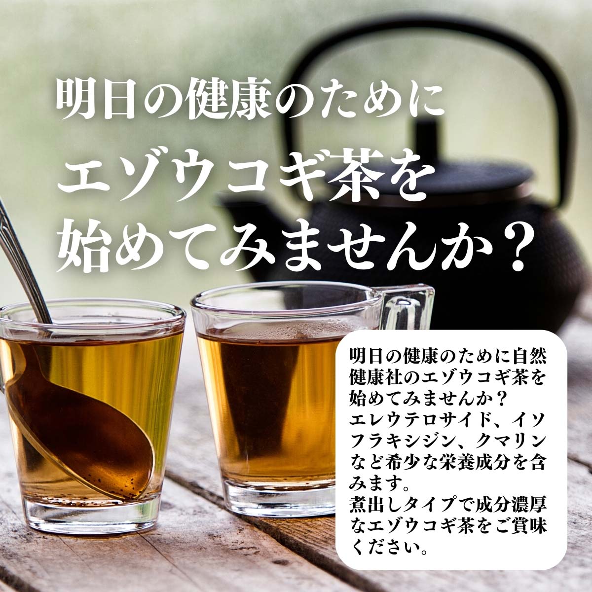 エゾウコギ茶を始めてみませんか？