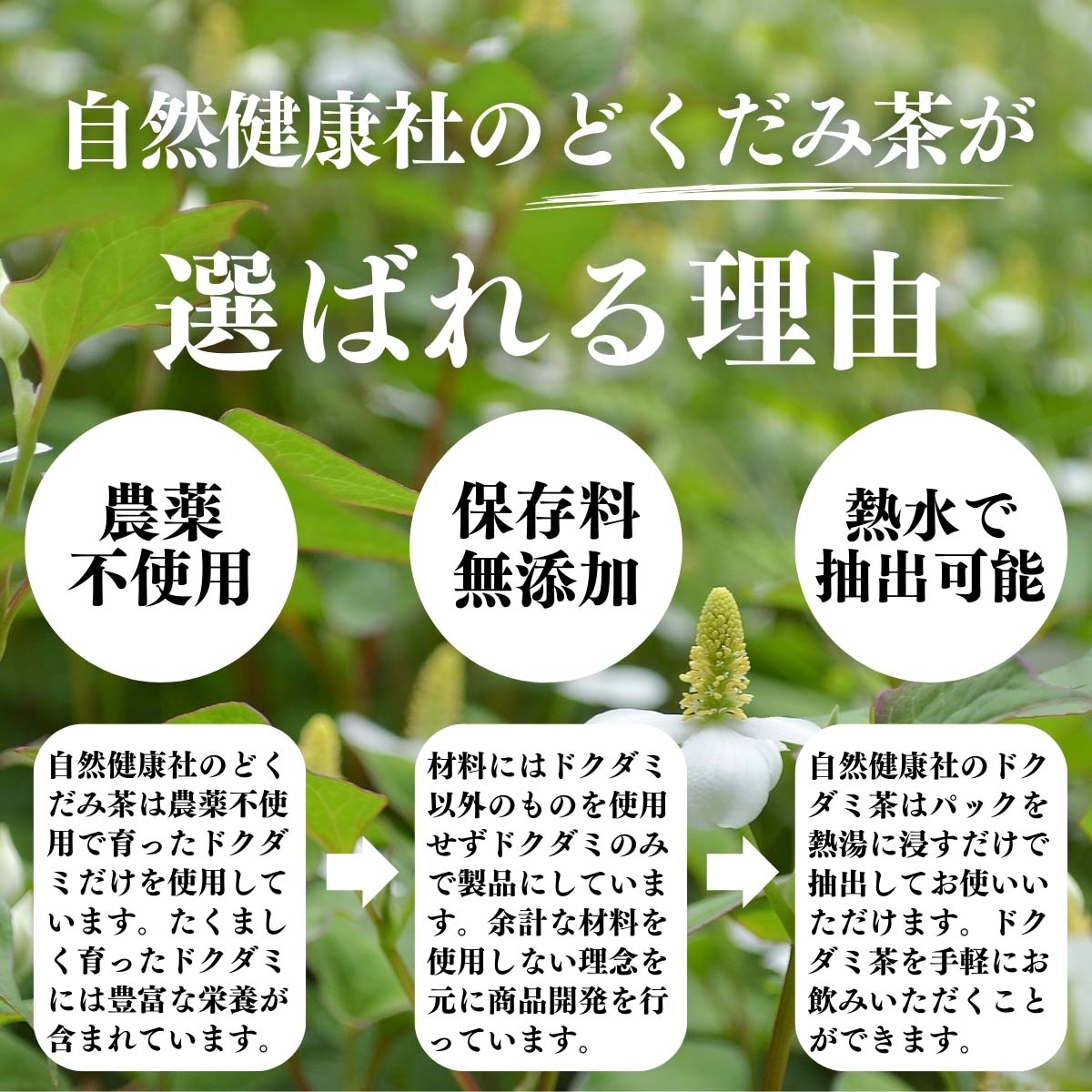 どくだみ茶が選ばれる理由