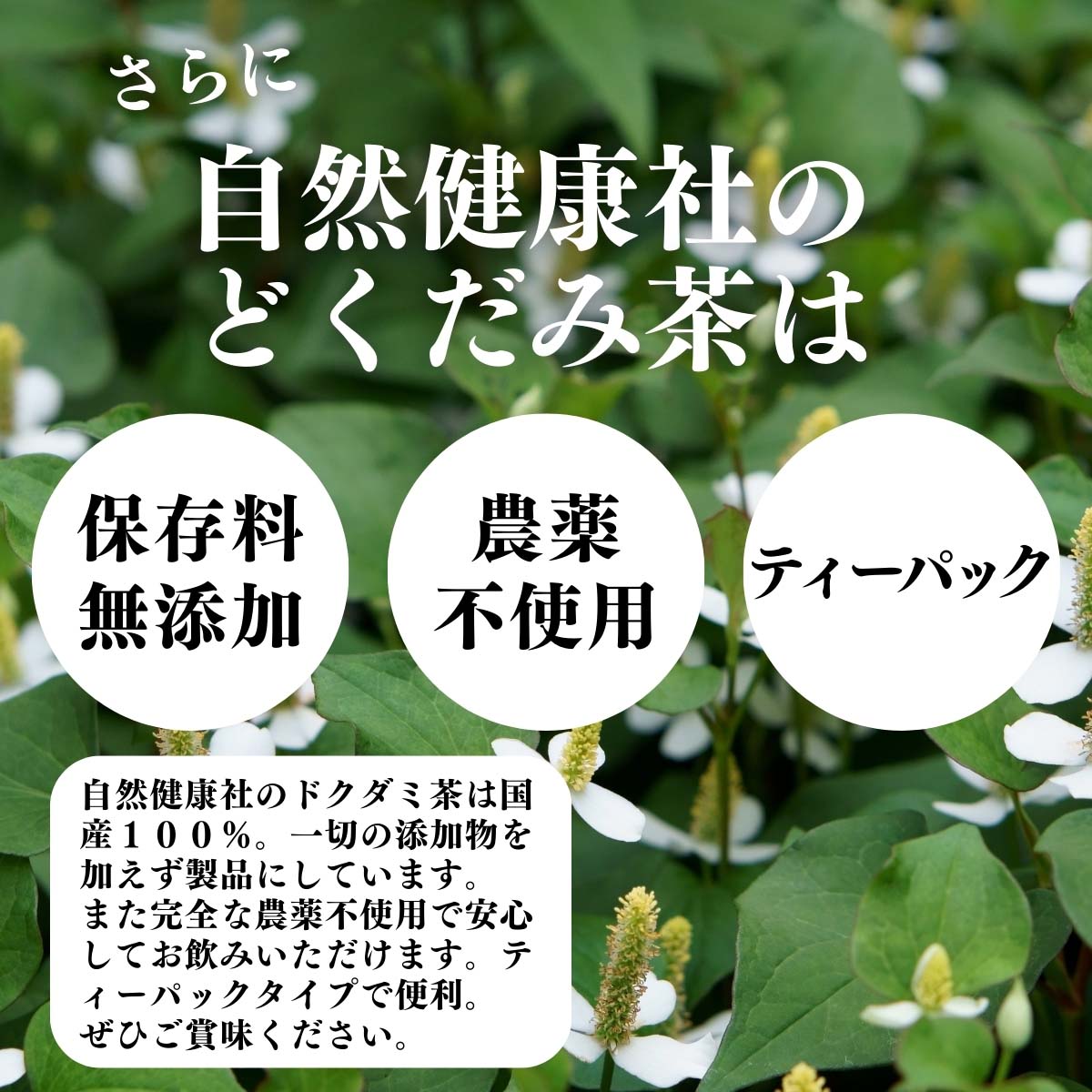 保存料無添加、農薬不使用、ティーパック