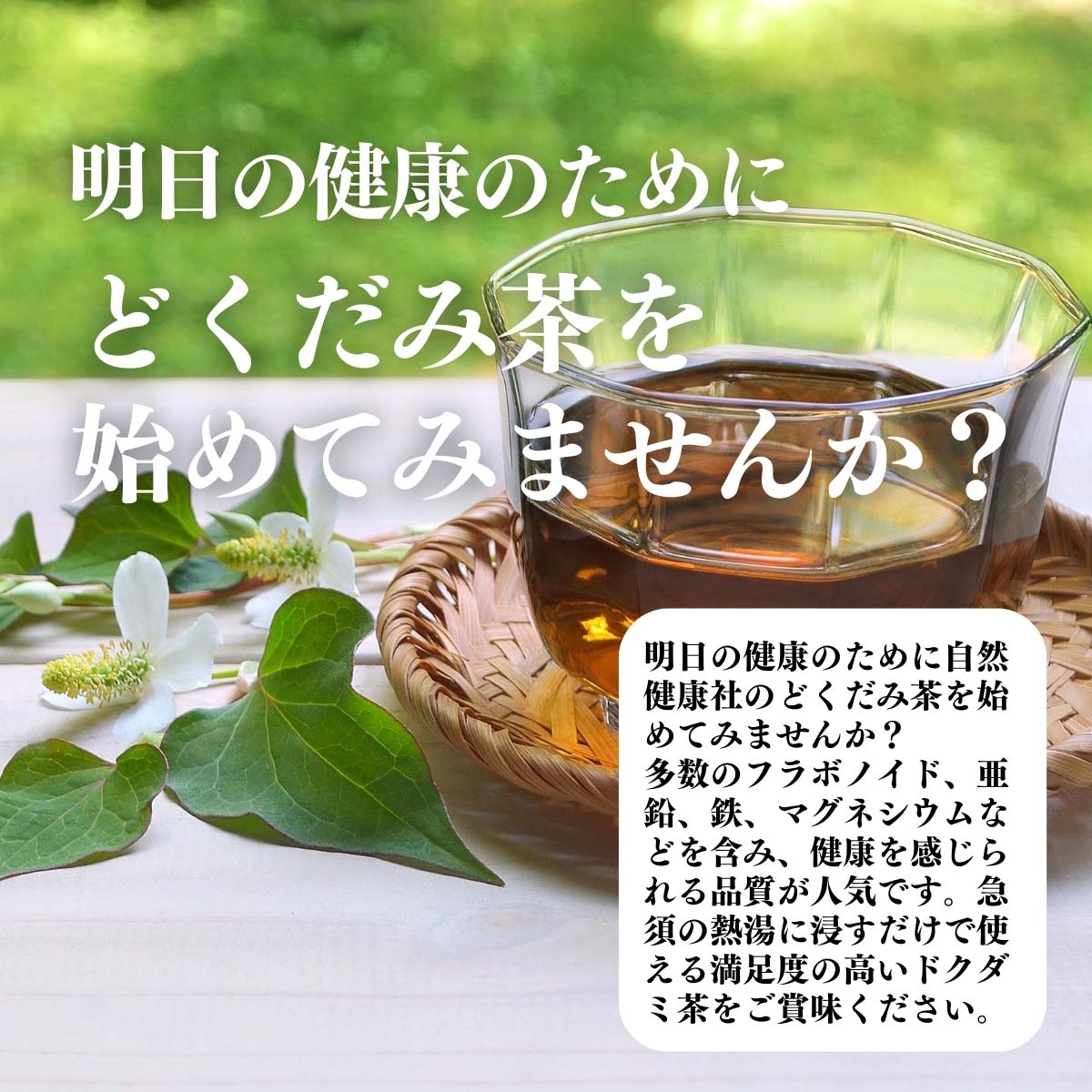 どくだみ茶を始めてみませんか
