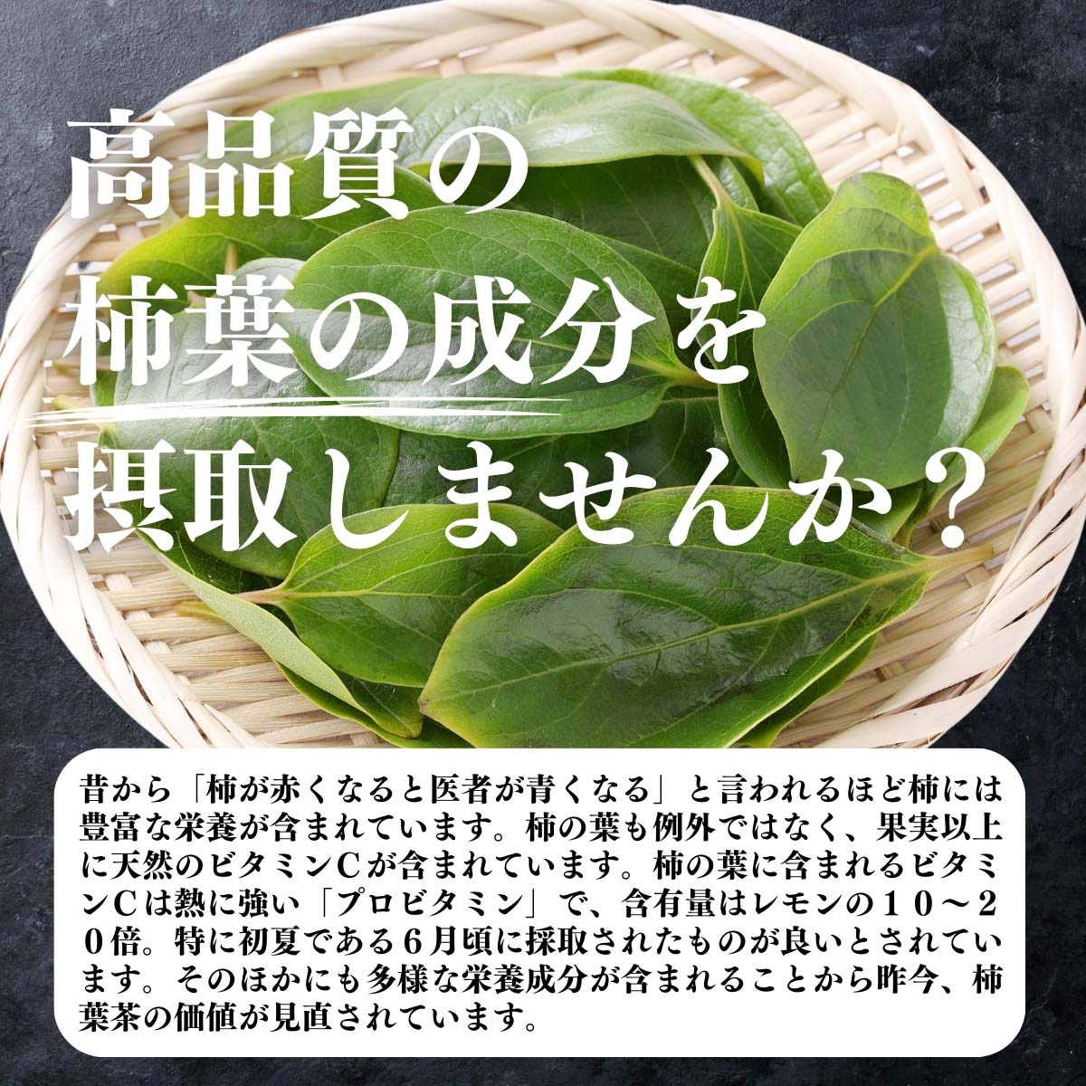 柿葉の成分を摂取しませんか
