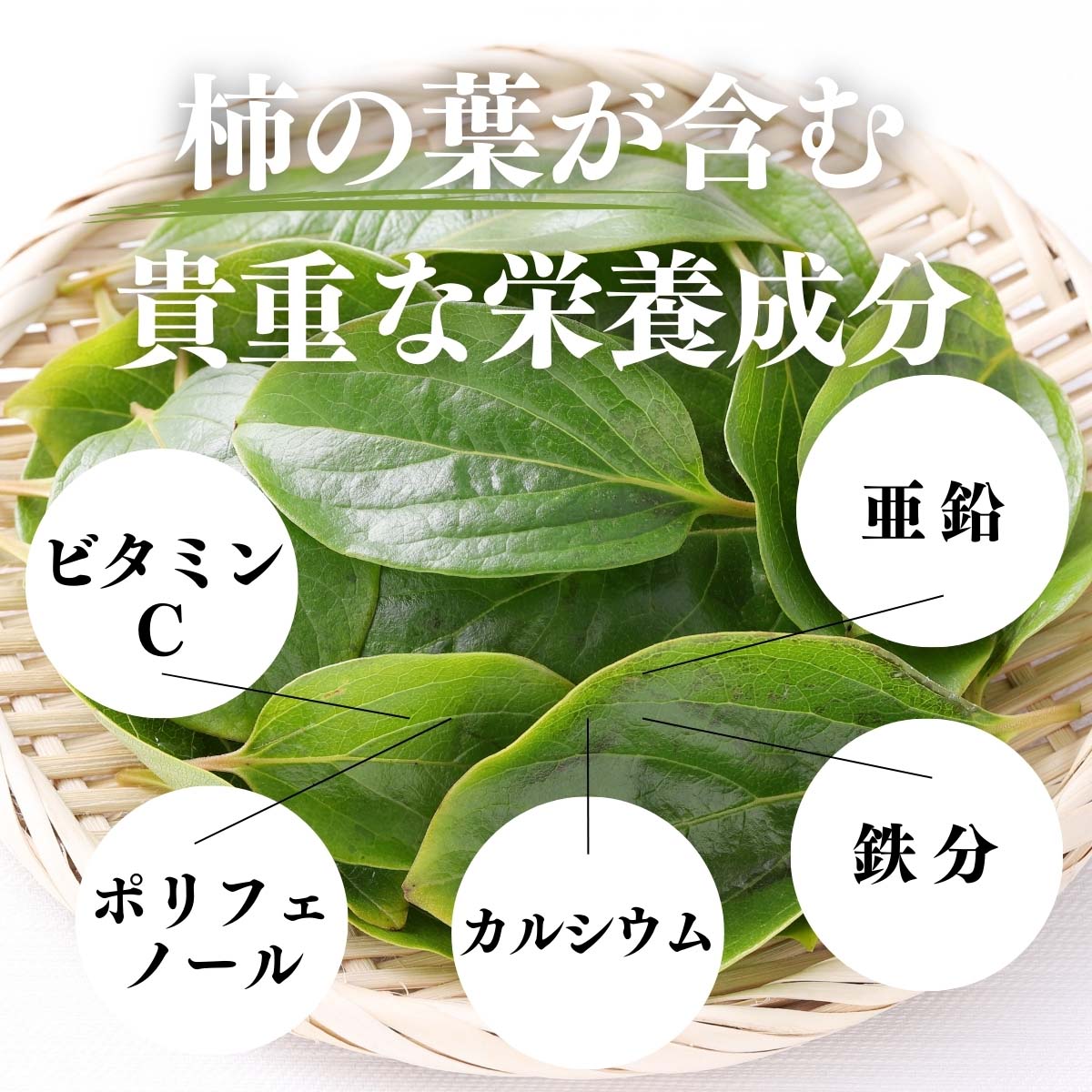 貴重な栄養成分