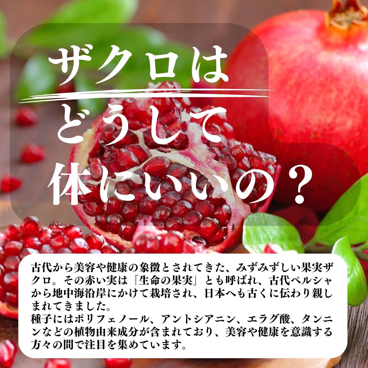 ザクロはどうして体にいいの？