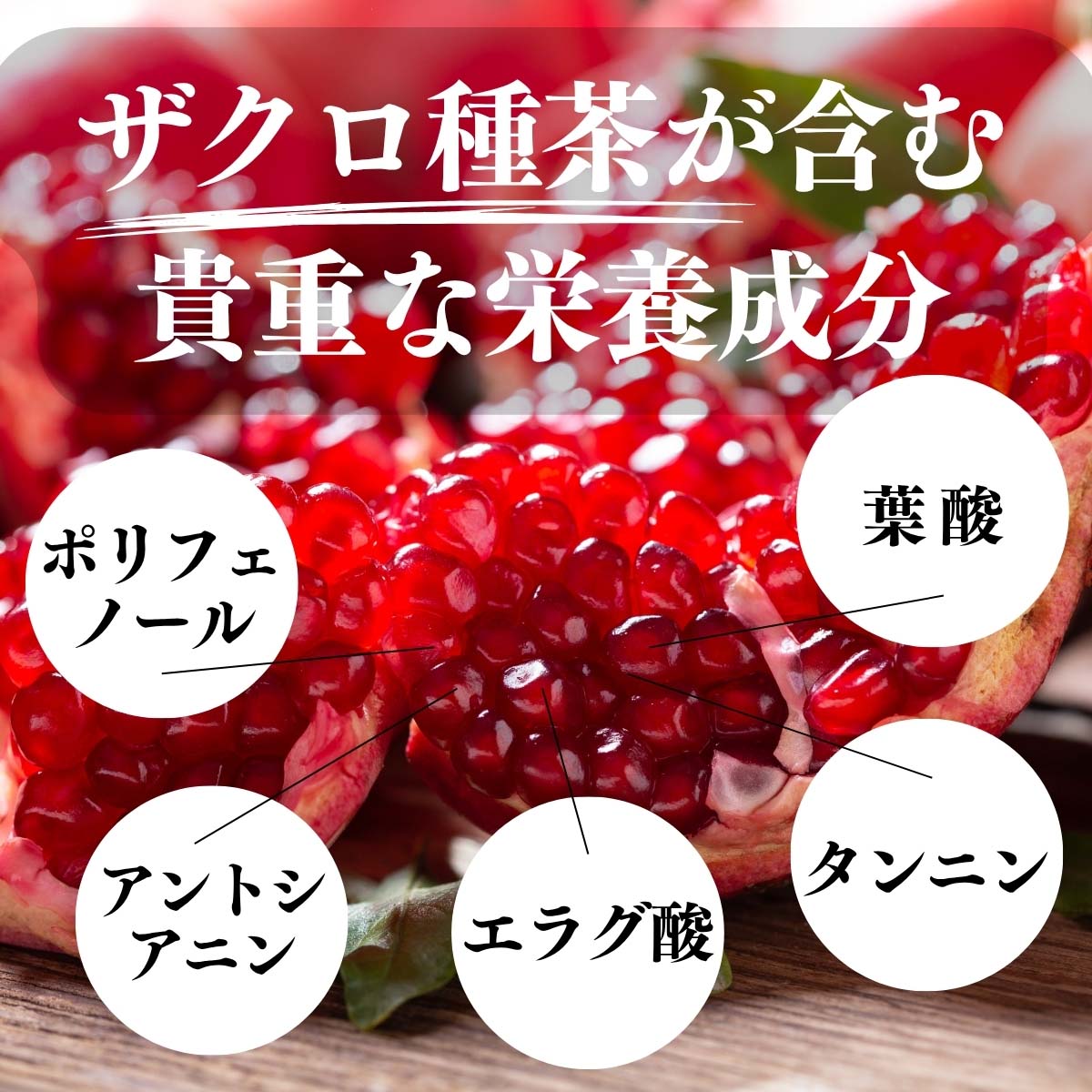 ザクロの種茶が含む貴重な栄養成分