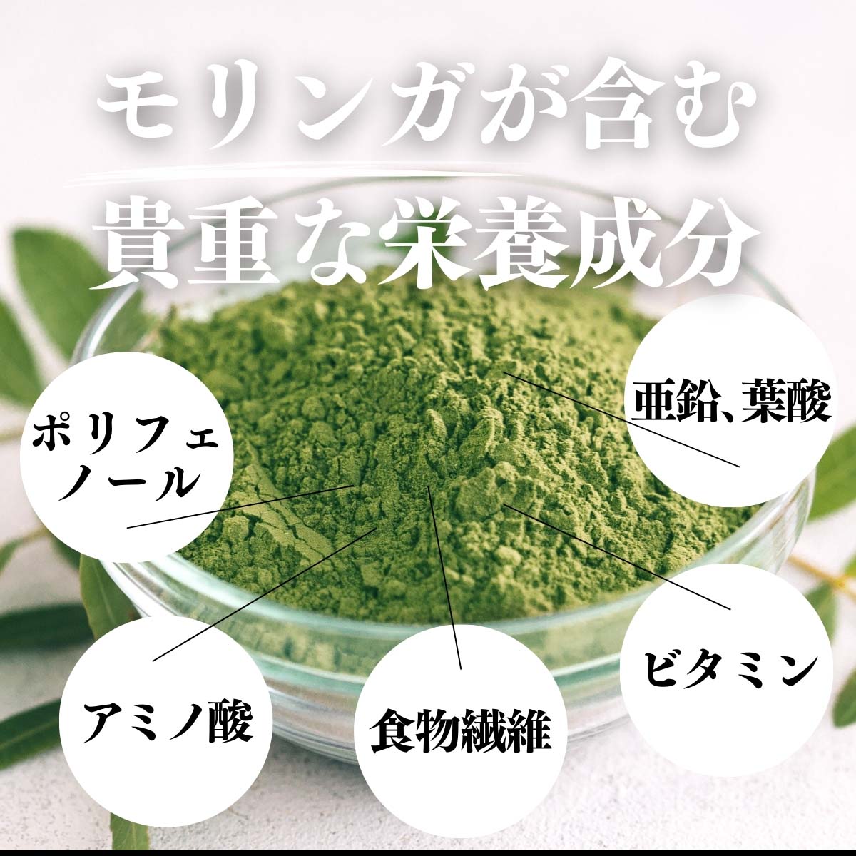 モリンガが含む栄養成分