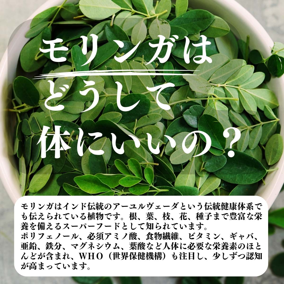 モリンガはどうして体にいいの？