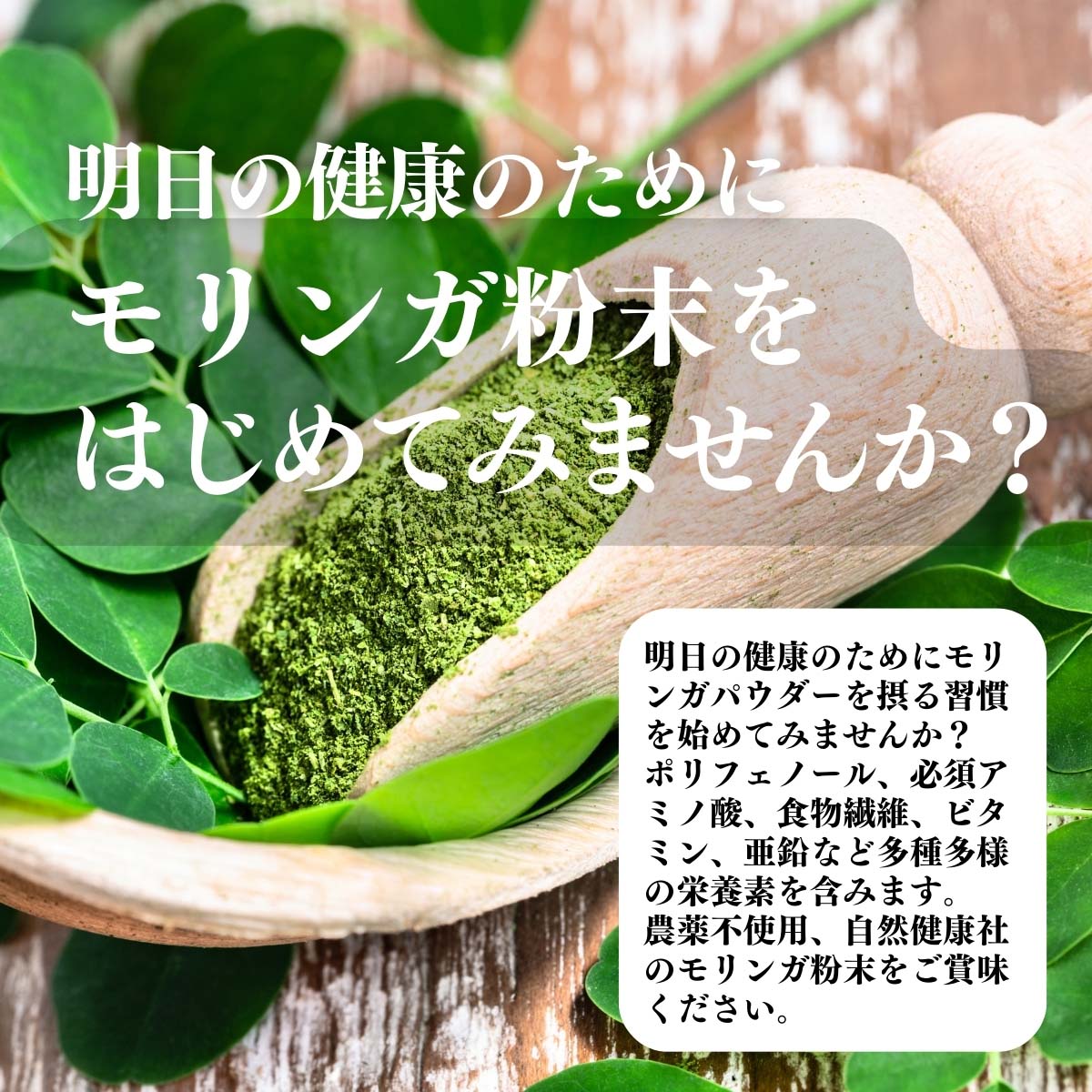 モリンガ粉末を始めてみませんか？