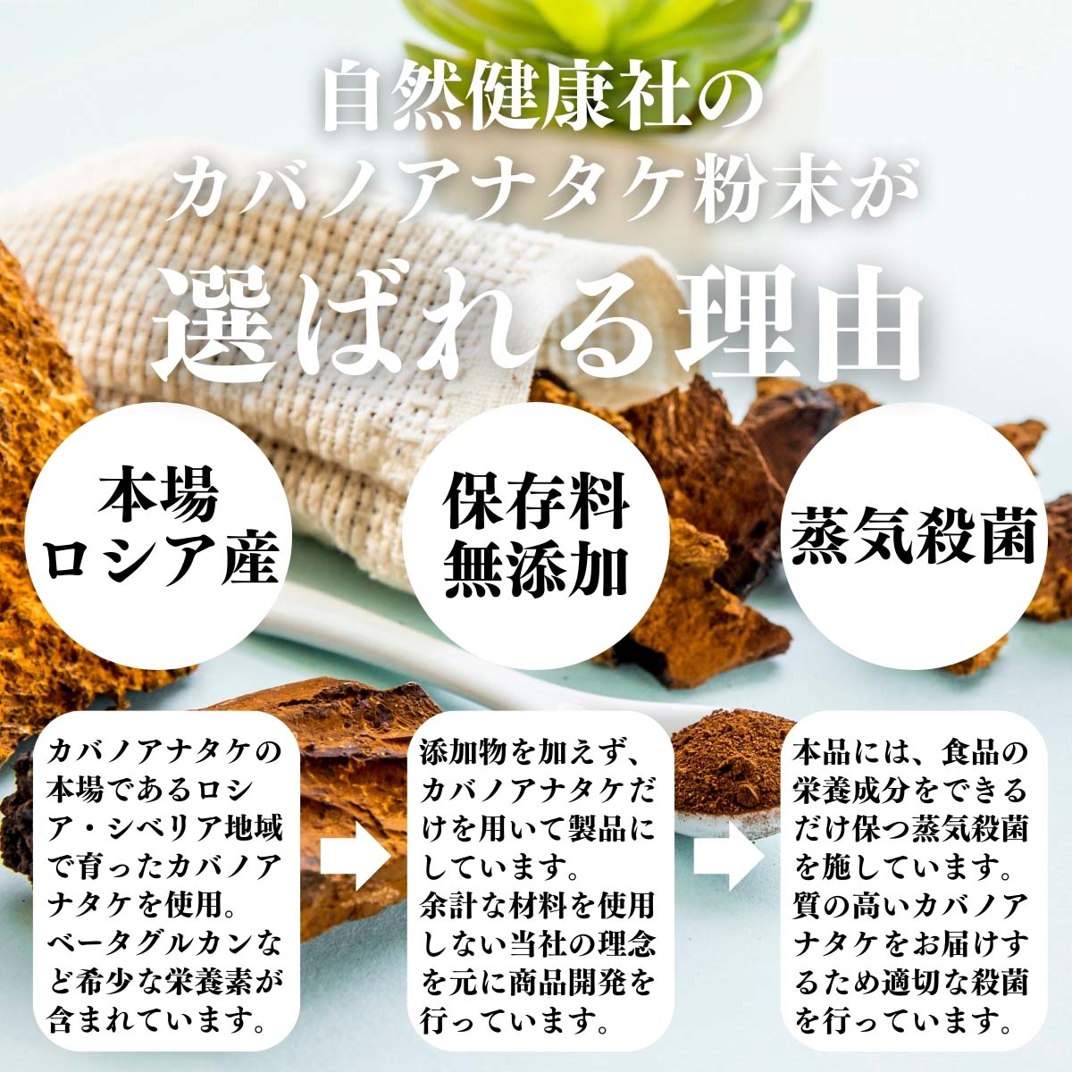 カバノアナタケが選ばれる理由